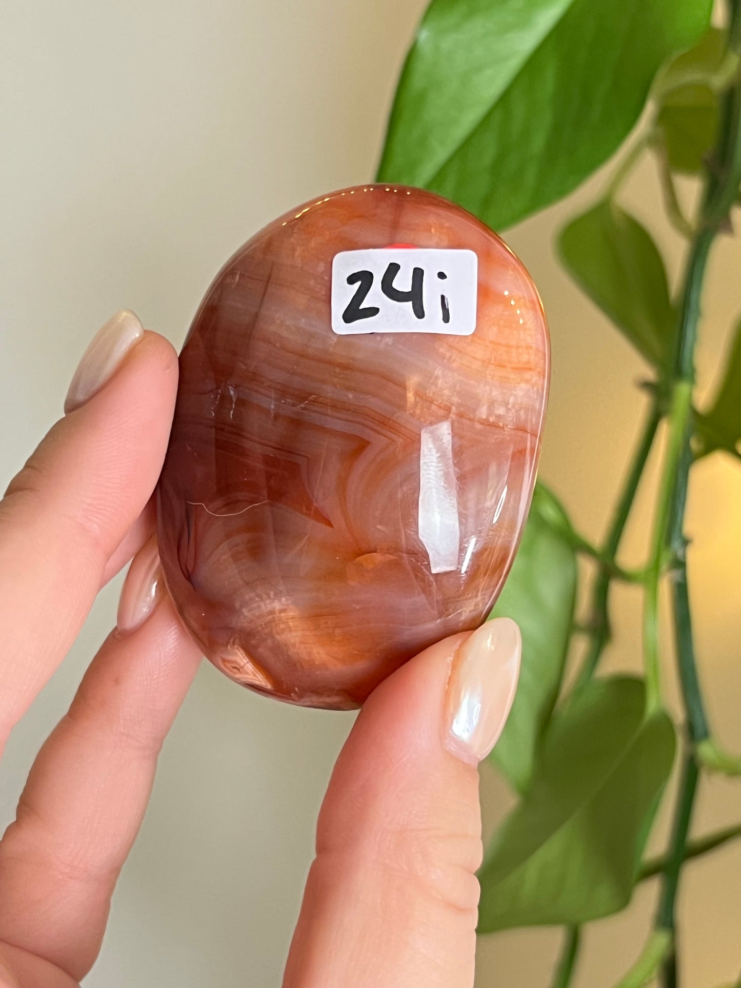 High Quality Carnelian Palm Stone i