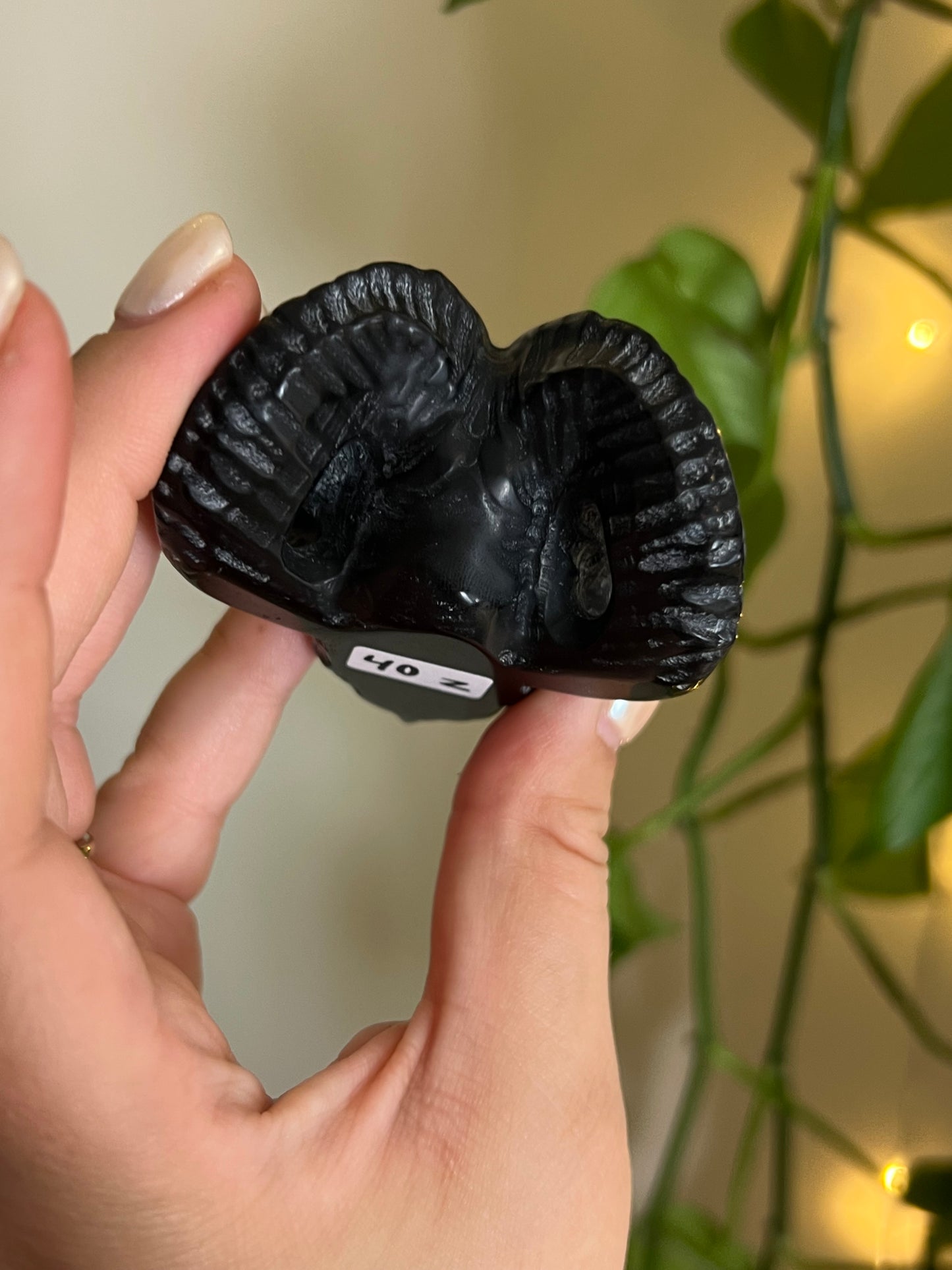 Black Obsidian Ram