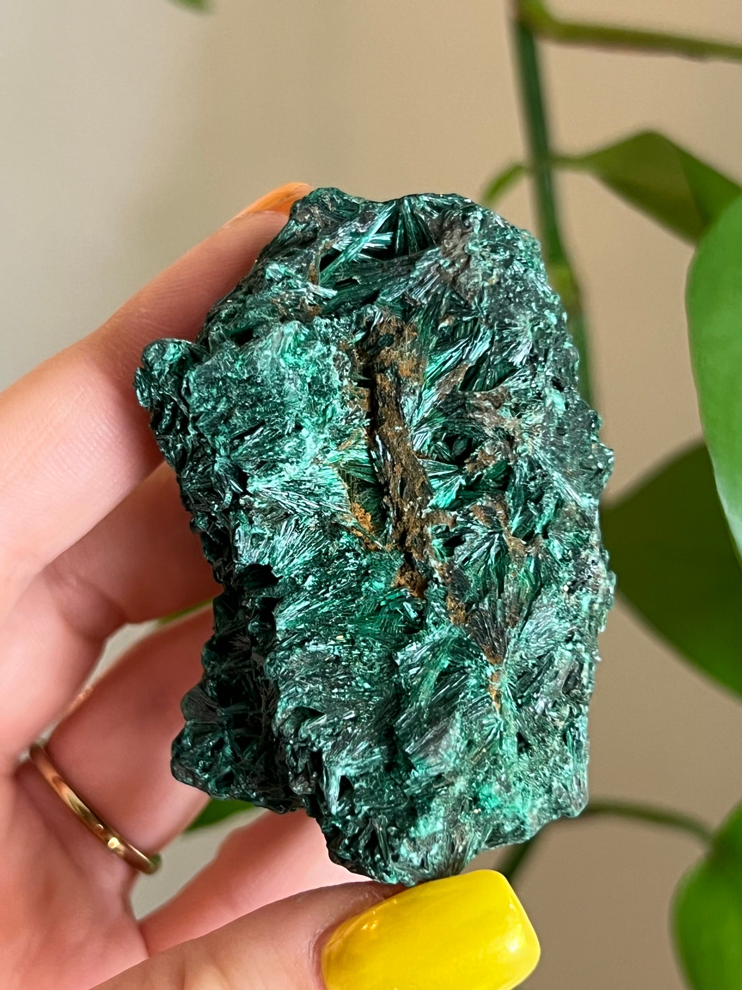 Velvet Malachite Raw L