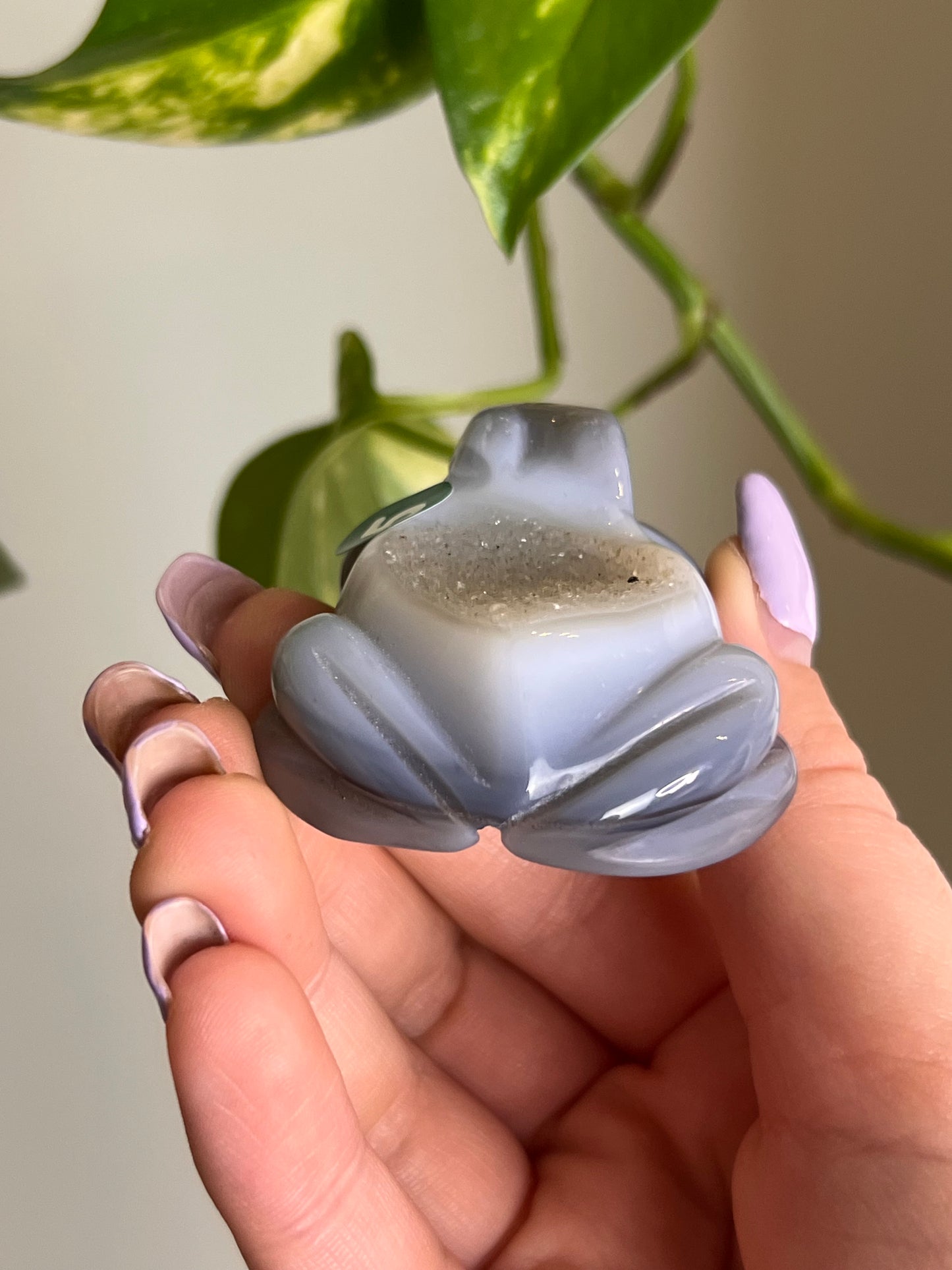 Druzy Agate Frog - 5