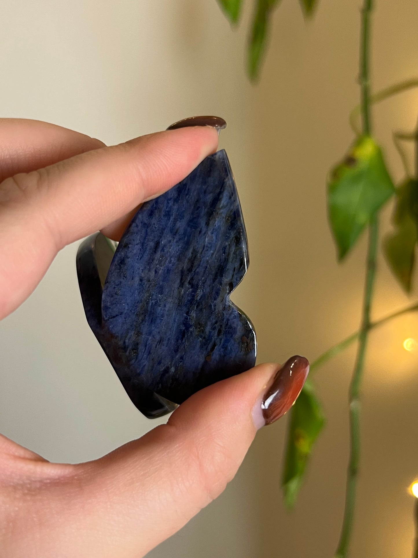 Sodalite 3D Butterfly - F