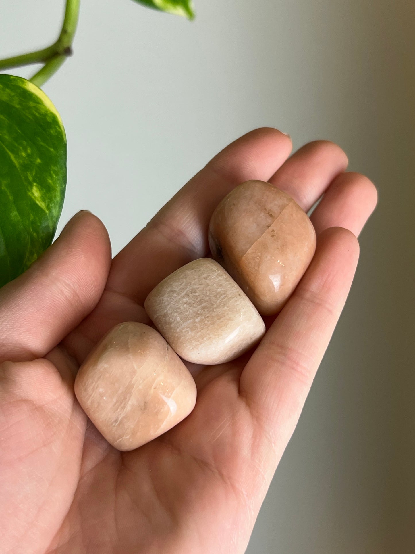 Peach Moonstone Large Tumbled