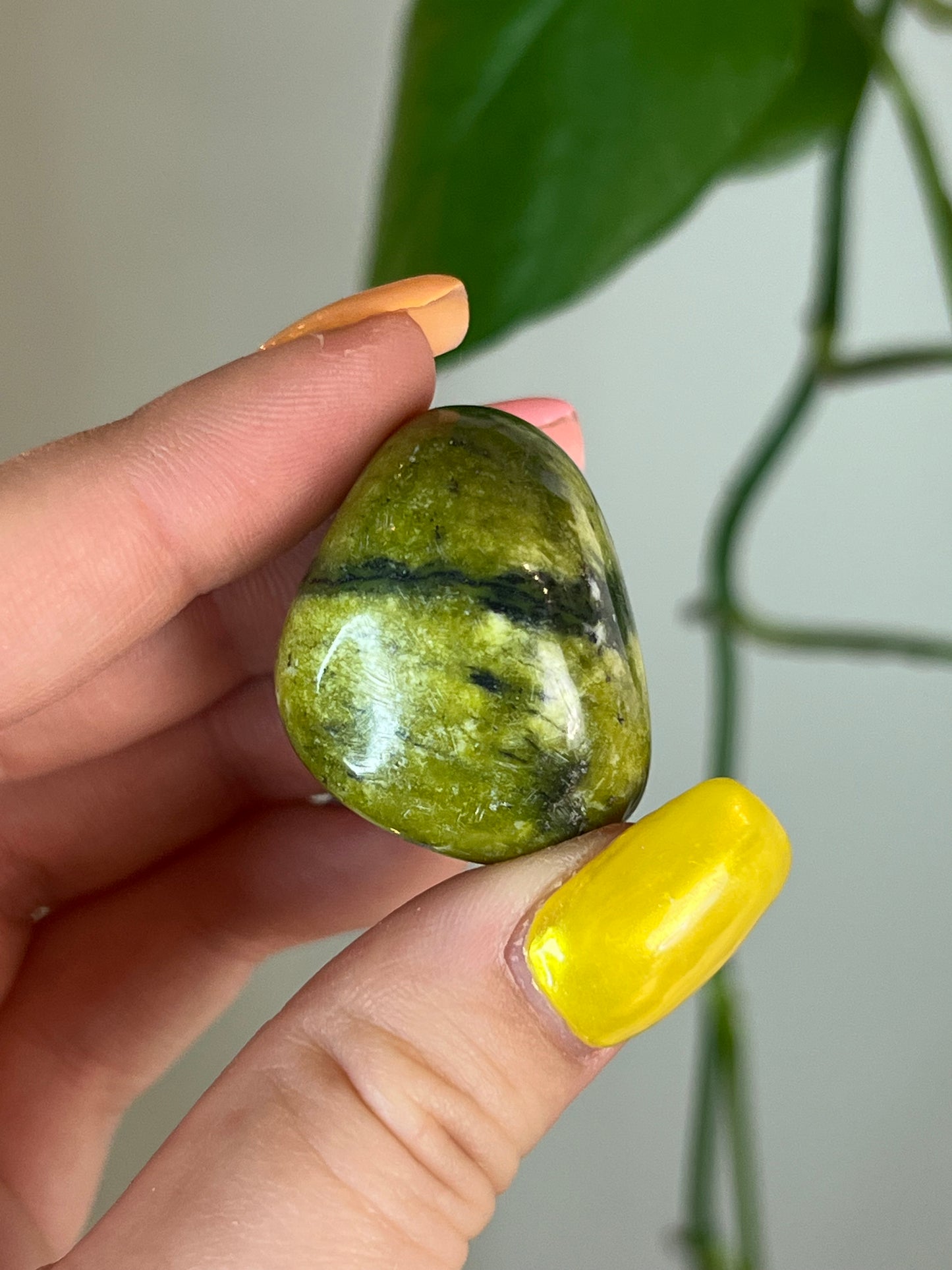 Serpentine Tumbled