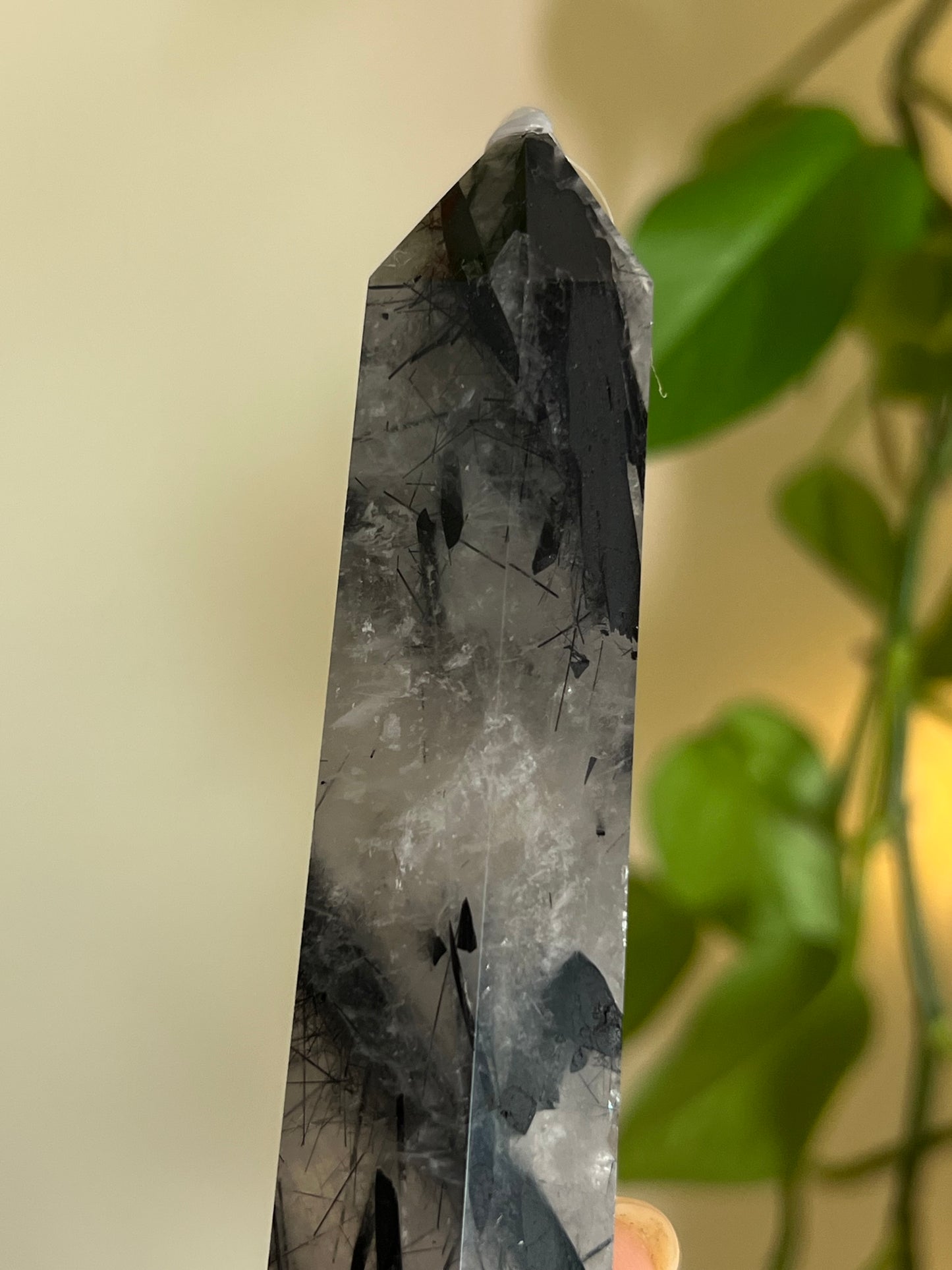 High Quality Black Tourmaline in Quartz Towers