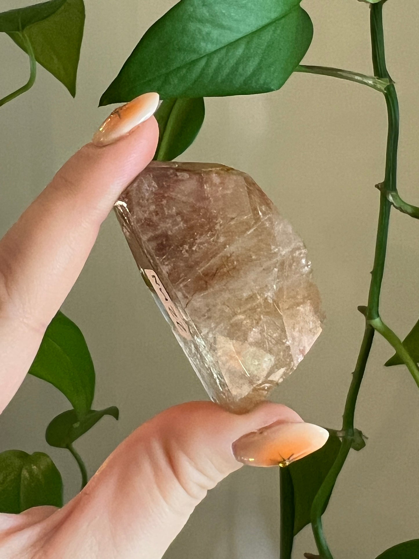 Golden Rutile Quartz Gusher - MN