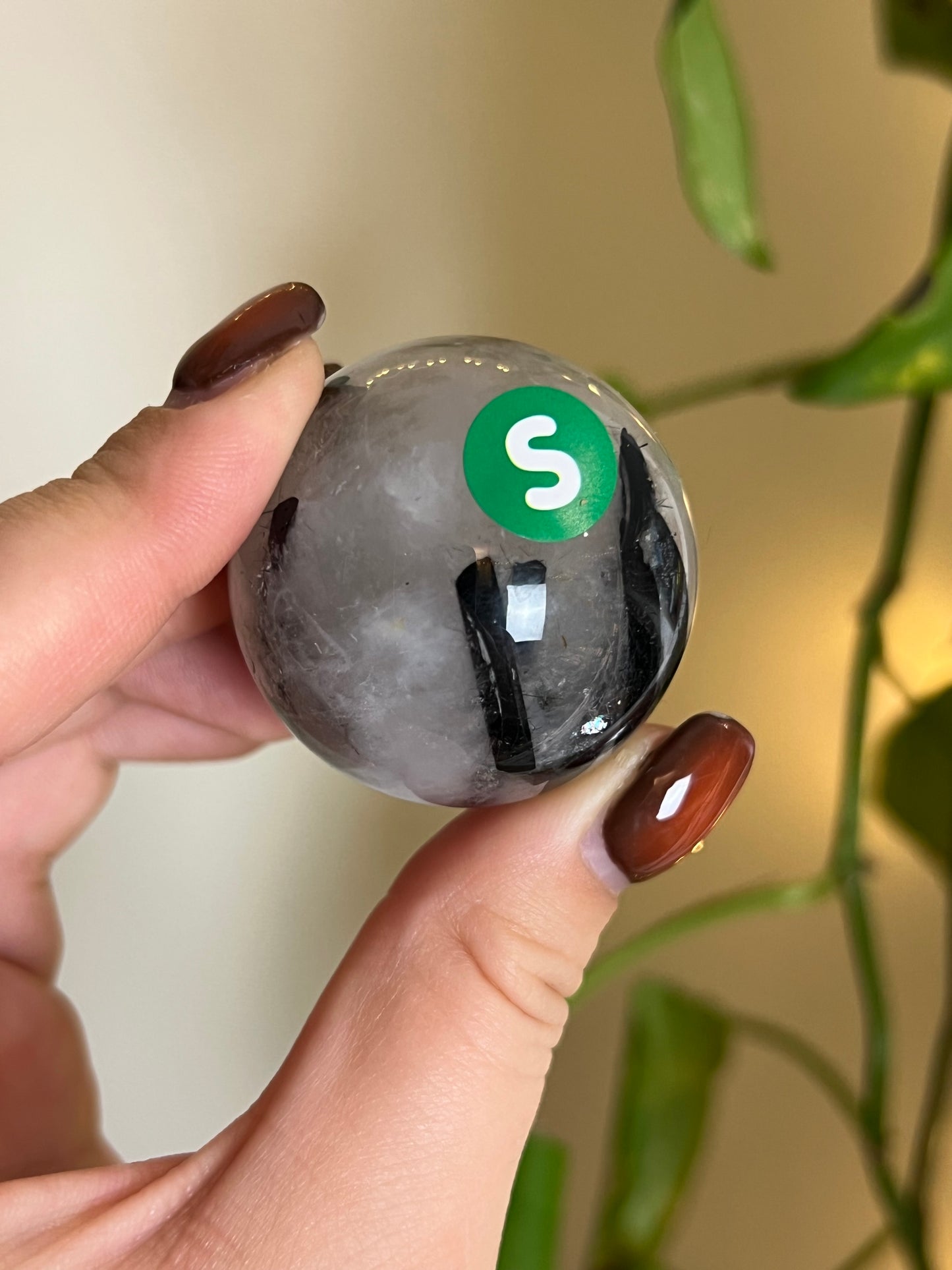 Black Tourmaline in Quartz Sphere - S