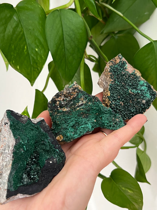 Botryoidal Malachite - Intuitively Chosen