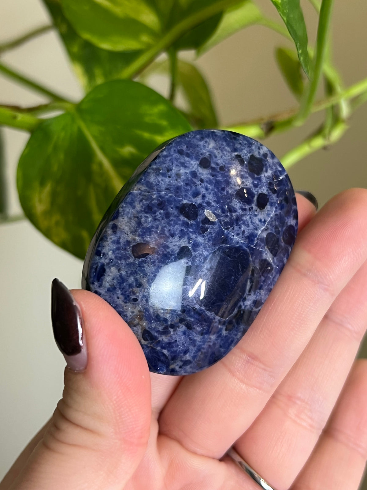 Sodalite Palm Stone - N