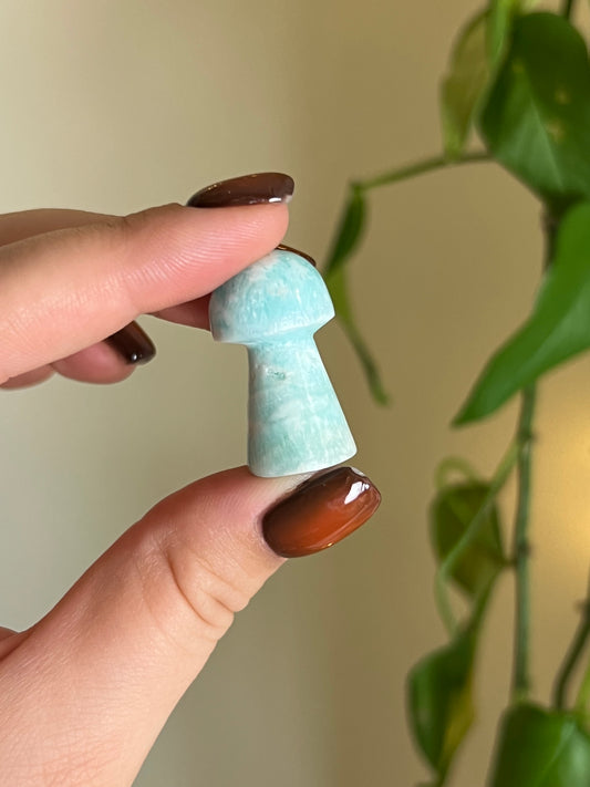 Caribbean Calcite Small Mushroom