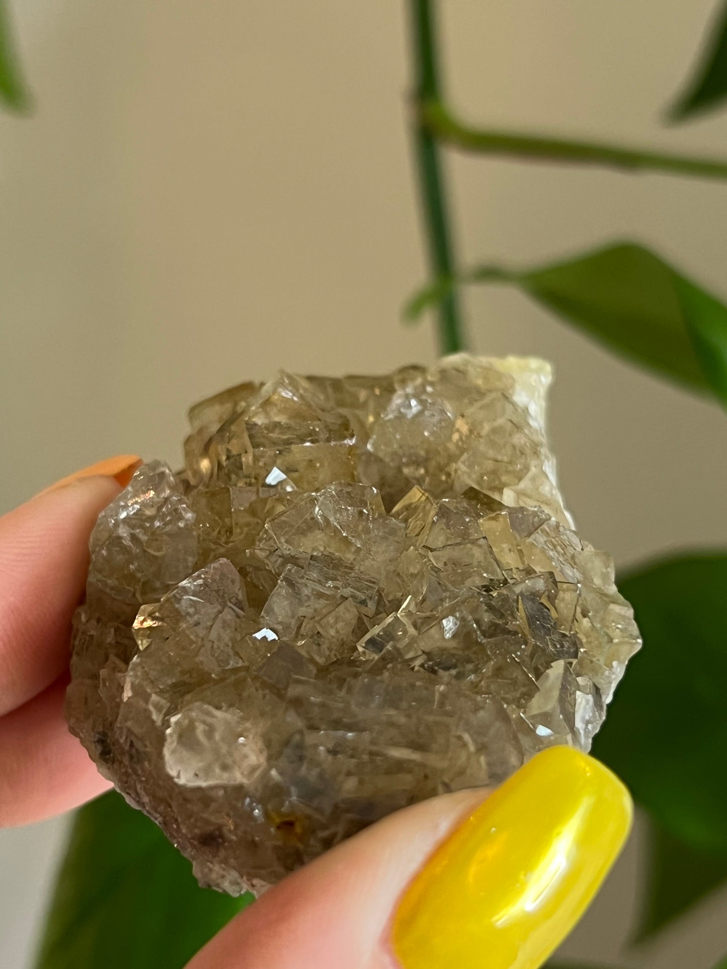 Yellow Fluorite Cluster Q