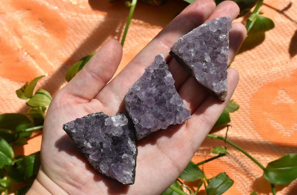 Amethyst Clusters