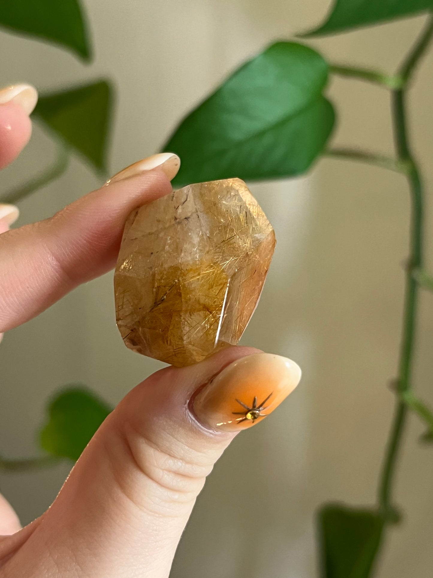 Golden Rutile Quartz Gusher - IZ
