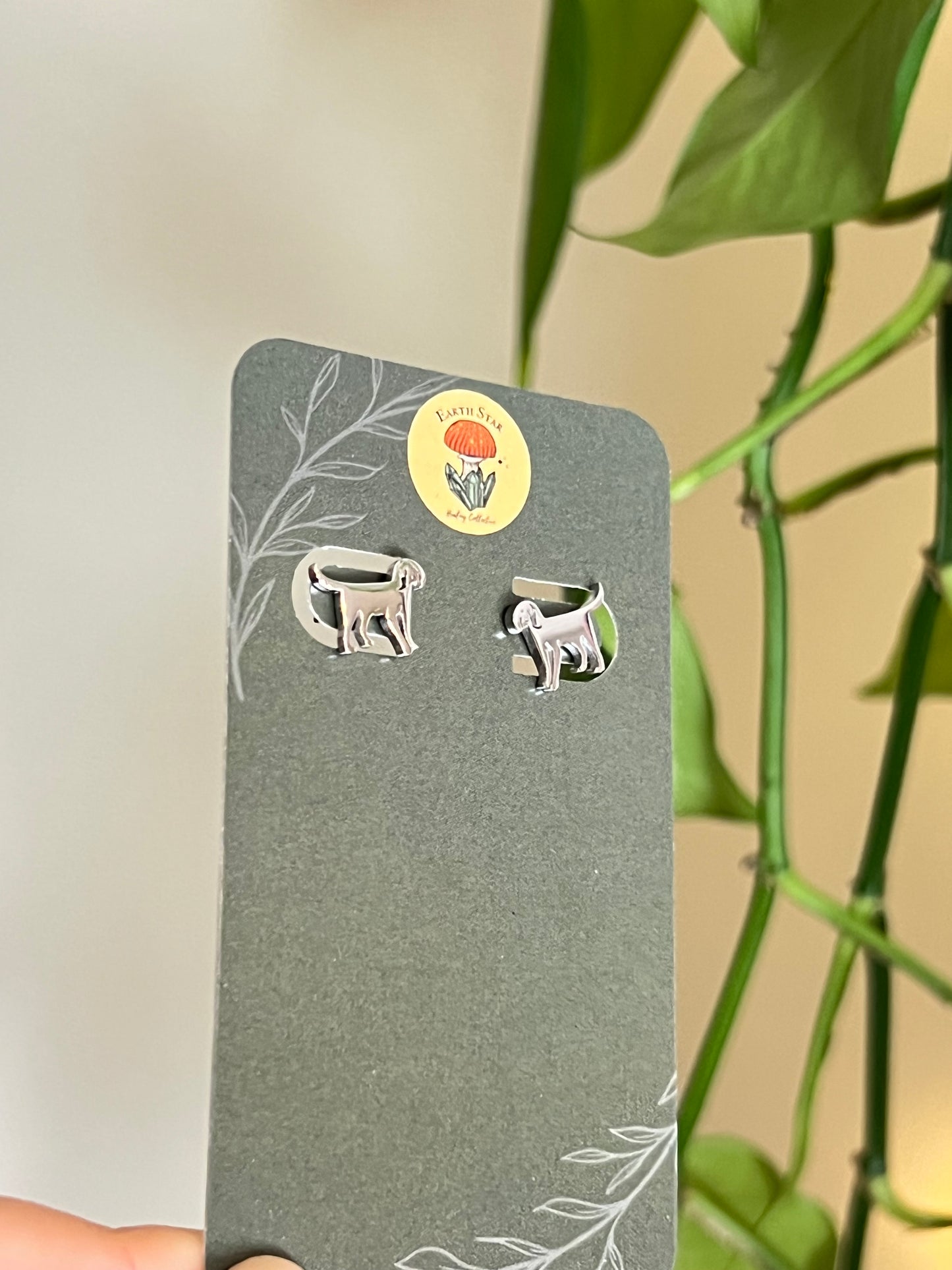 Dog Stainless Steel Studs