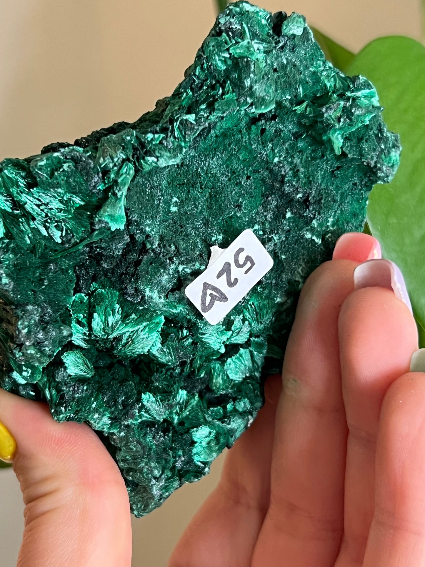 Velvet Malachite Raw C