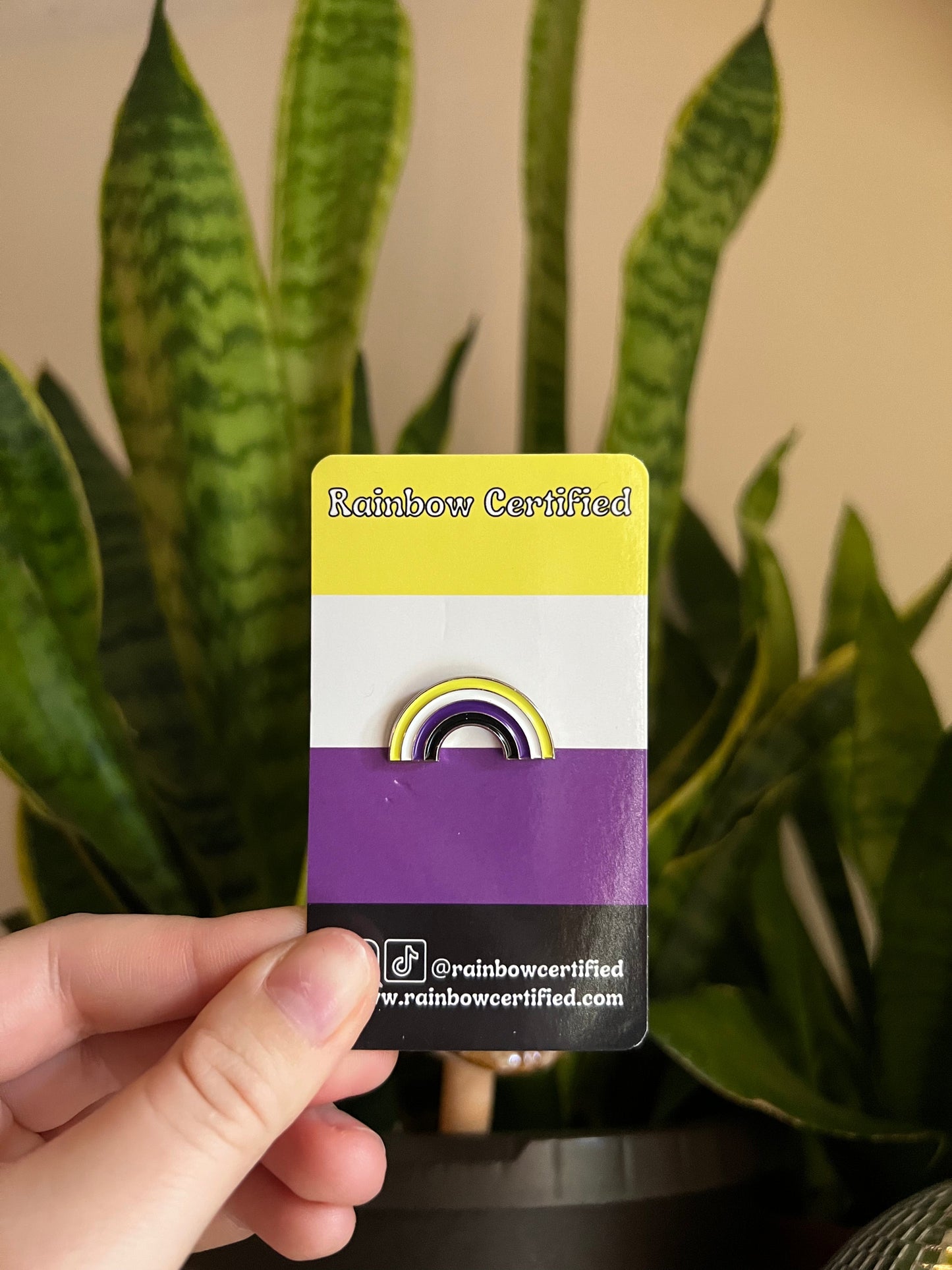 Non Binary Rainbow Pin