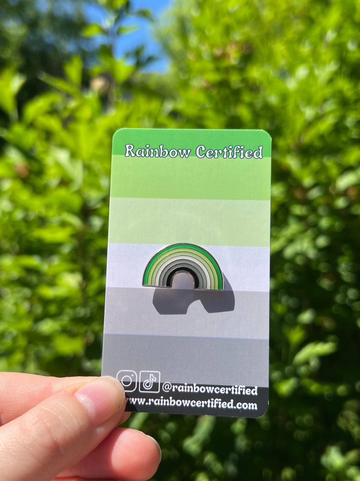 Aromantic Rainbow Pin