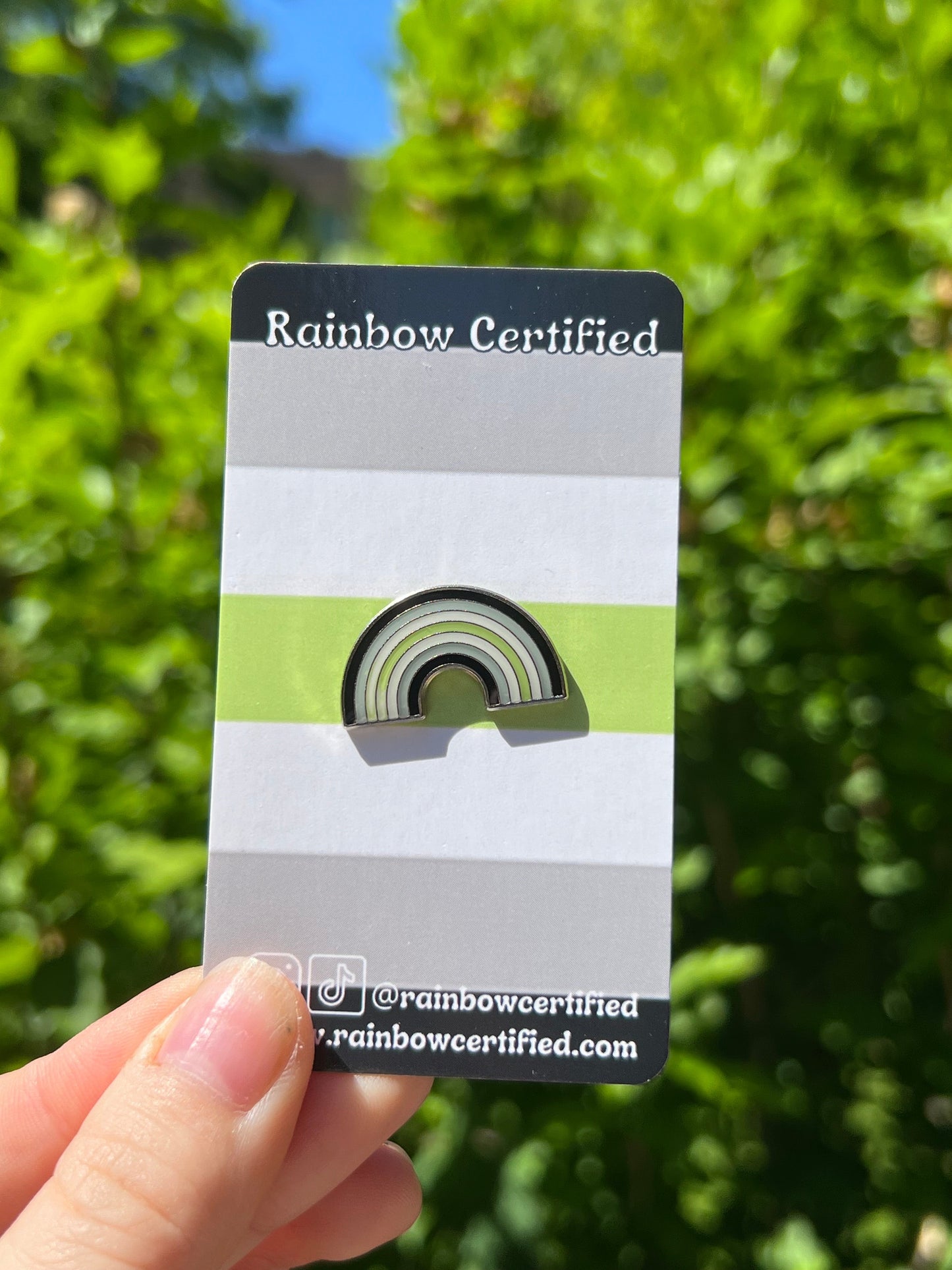 Agender Rainbow Pin