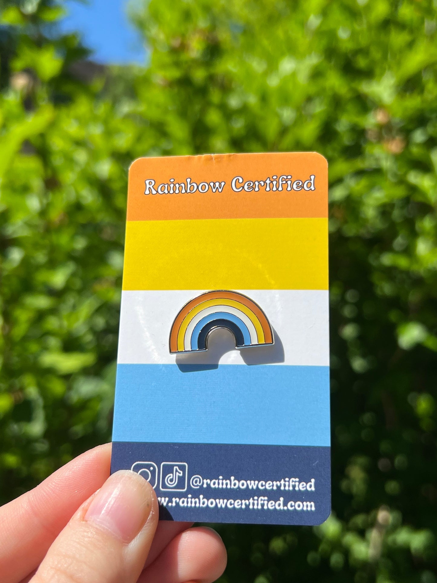 Aroace Rainbow Pin