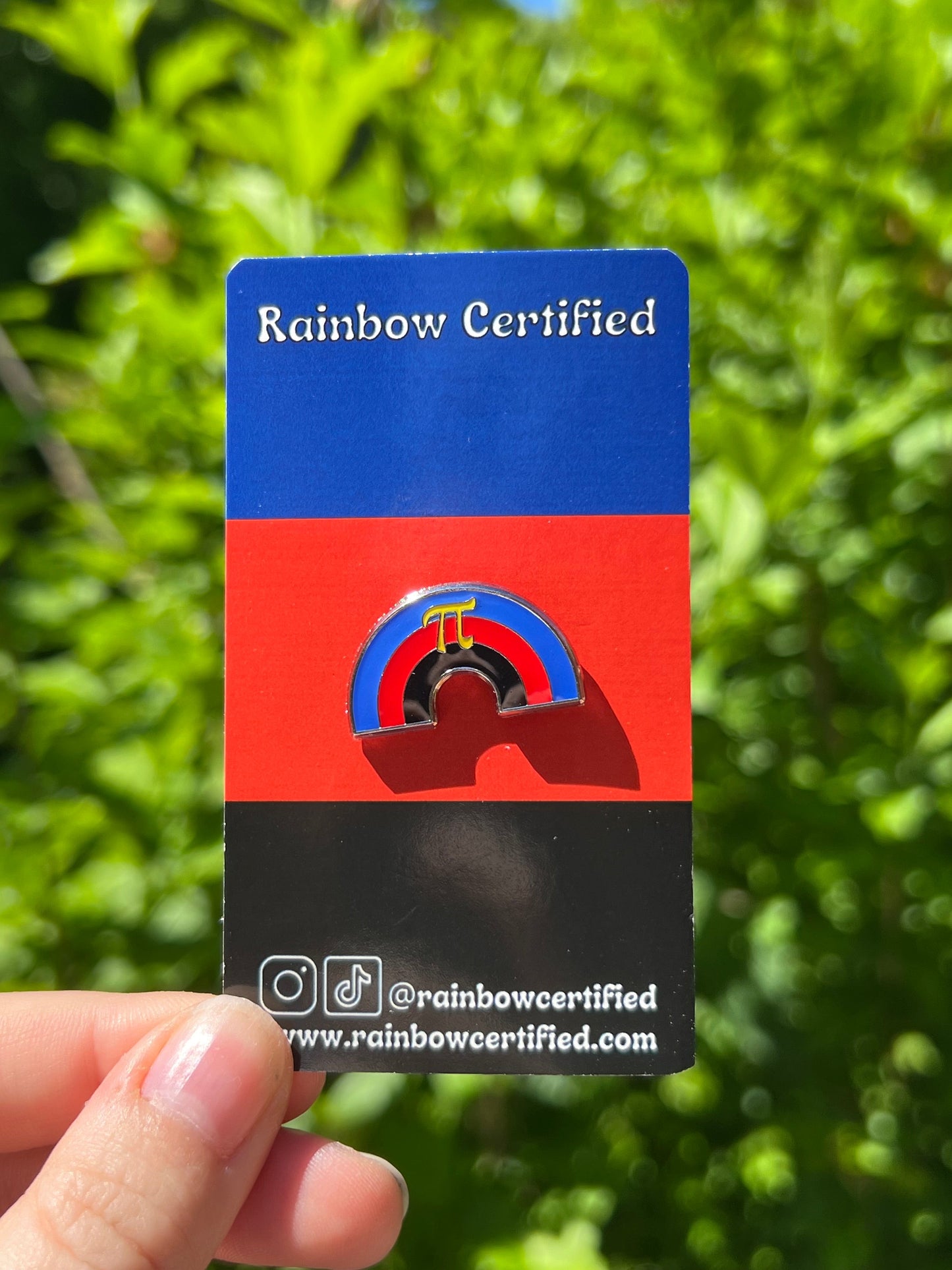 Poly Rainbow Pin