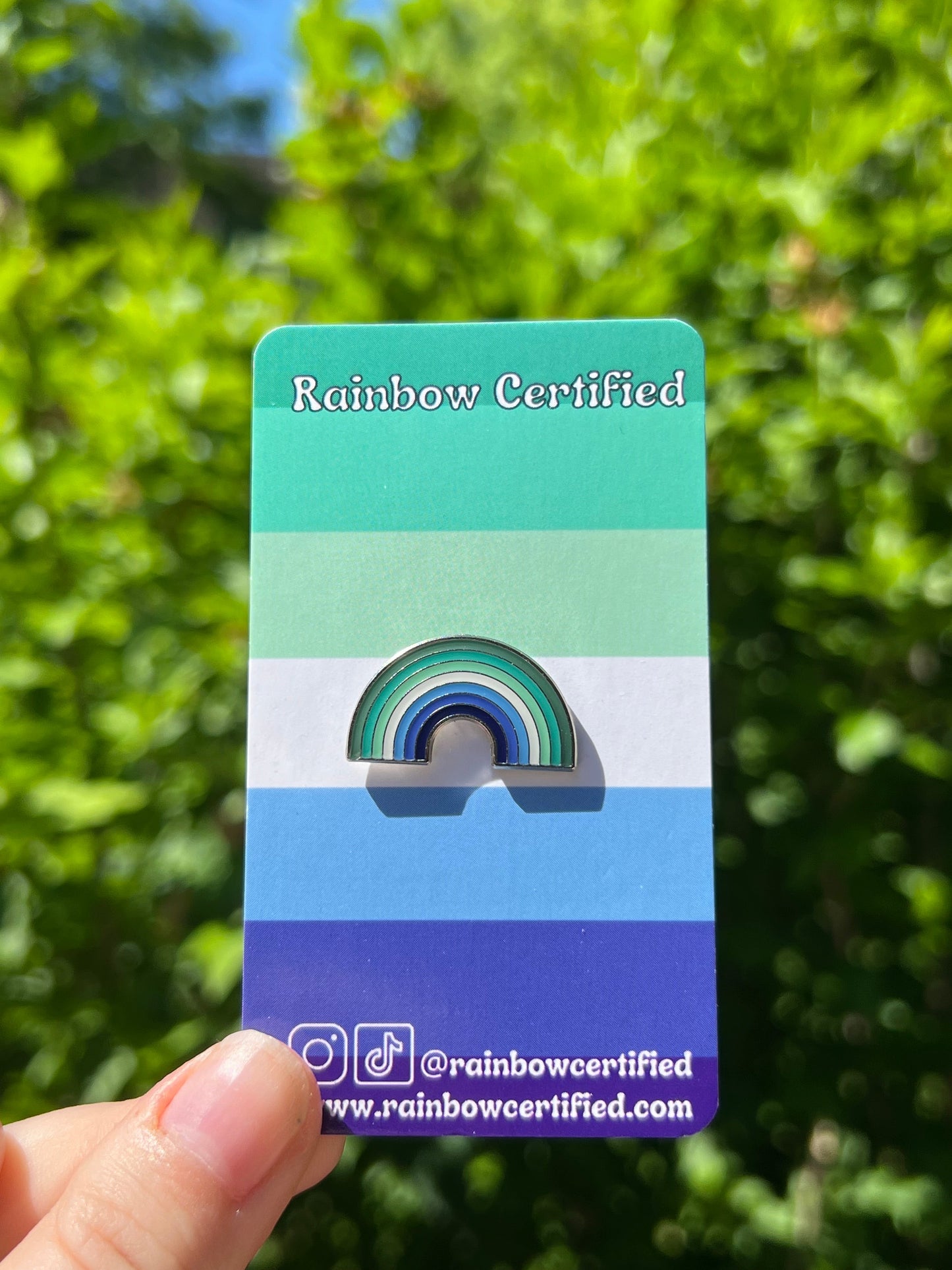 Gay Rainbow Pin