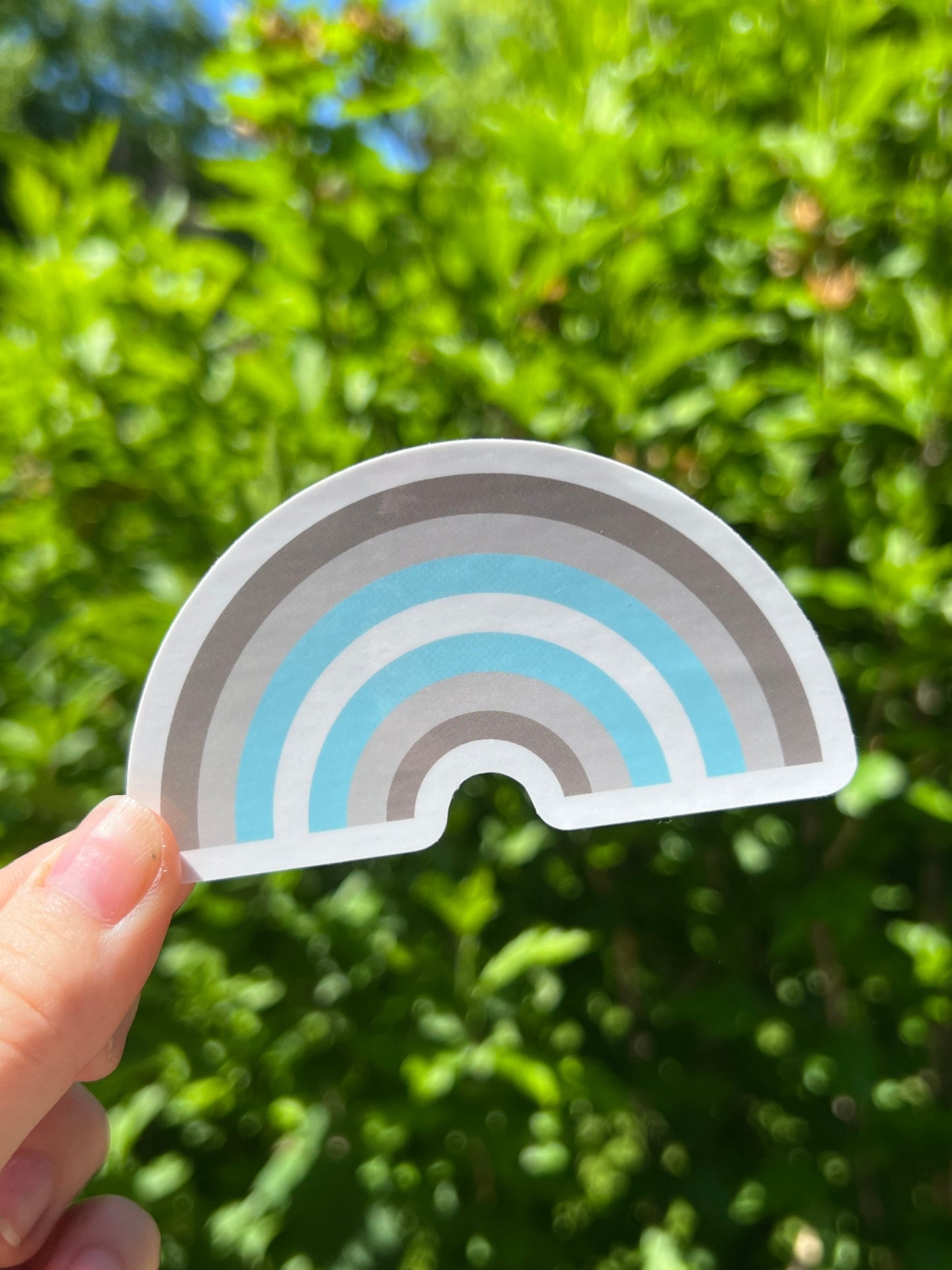 Demiboy Rainbow Sticker