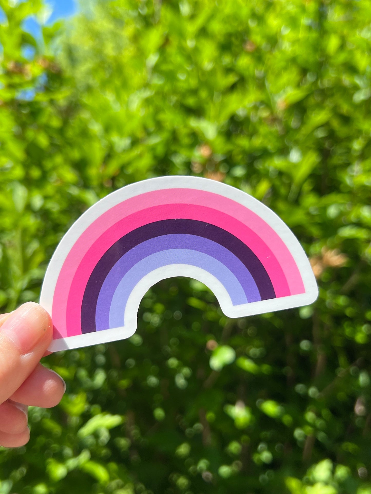 Omnisexual Rainbow Sticker