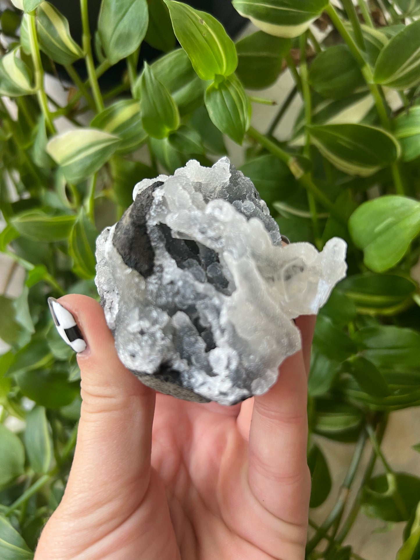 Chalcedony x Apophyllite