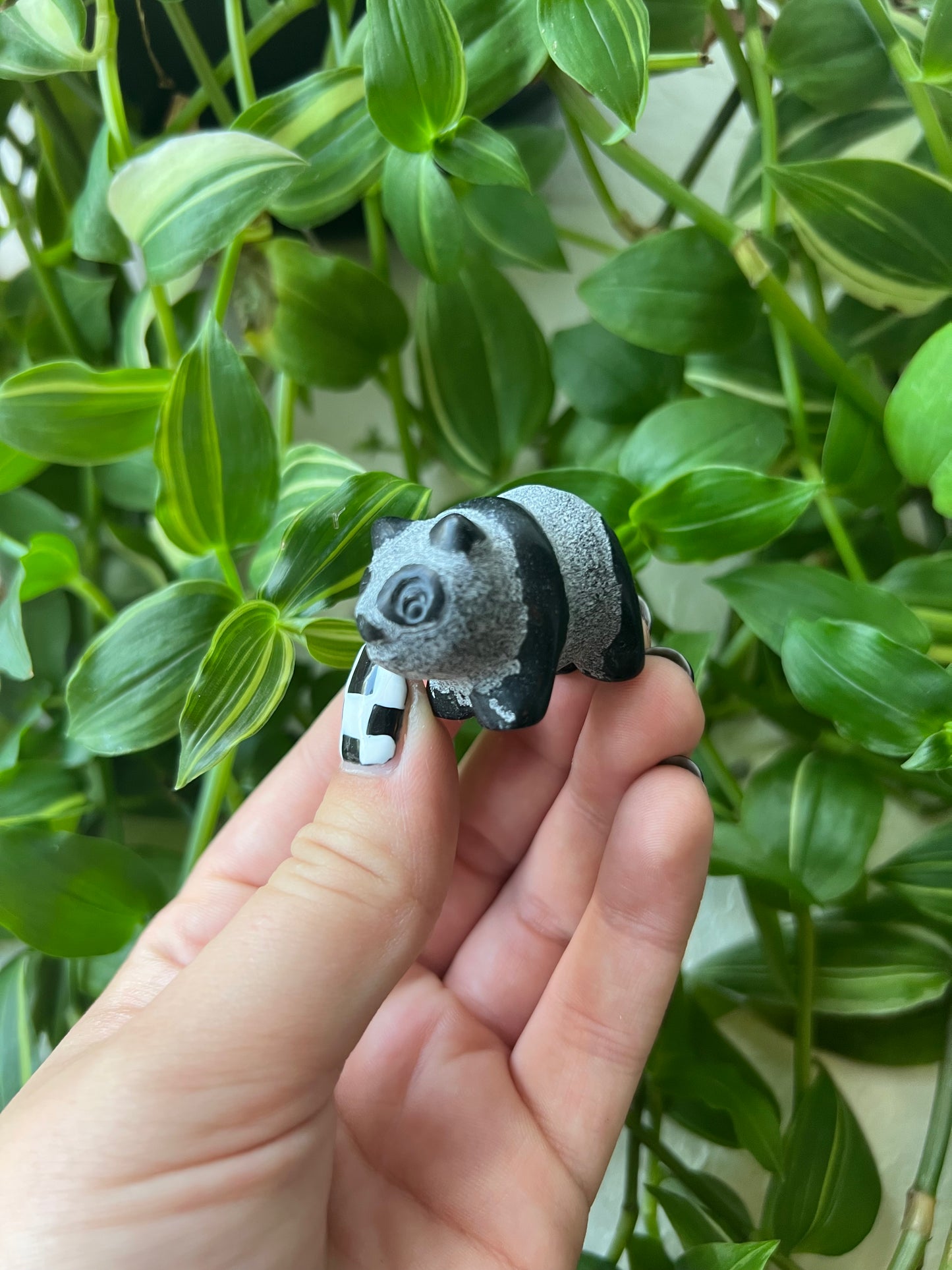 Obsidian Panda