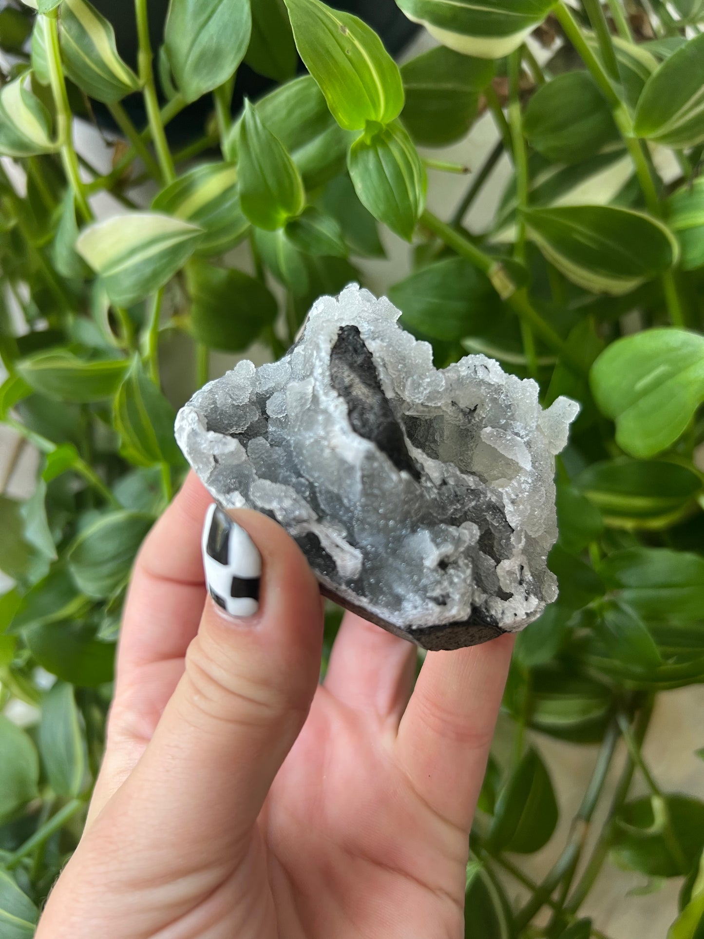 Chalcedony x Apophyllite