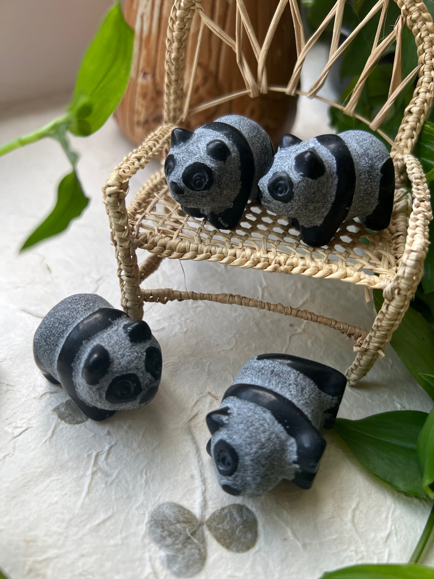 Obsidian Panda