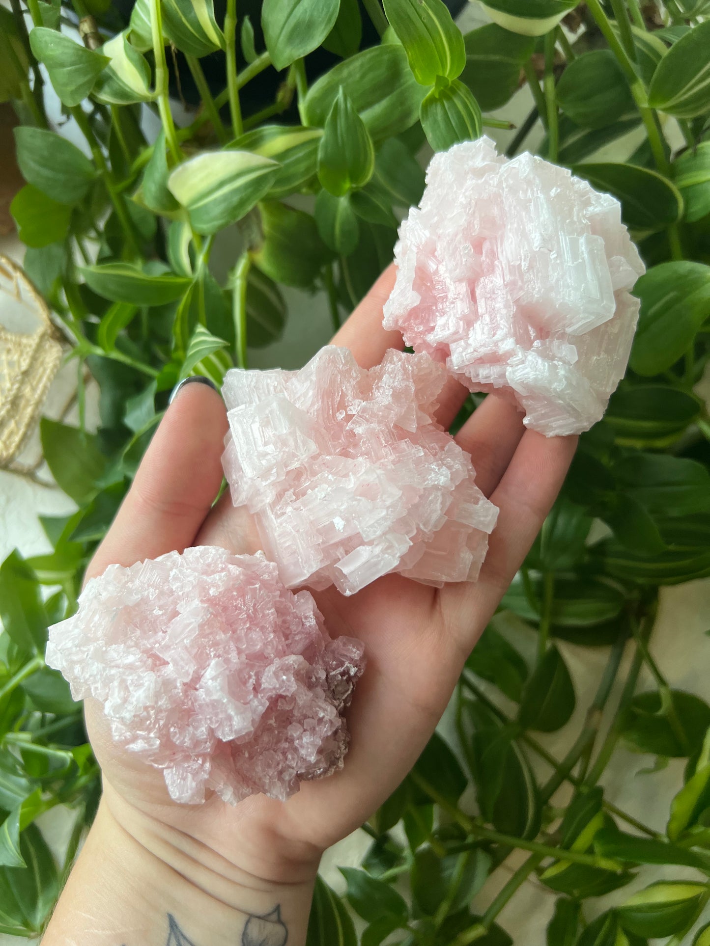 Pink Halite Rare