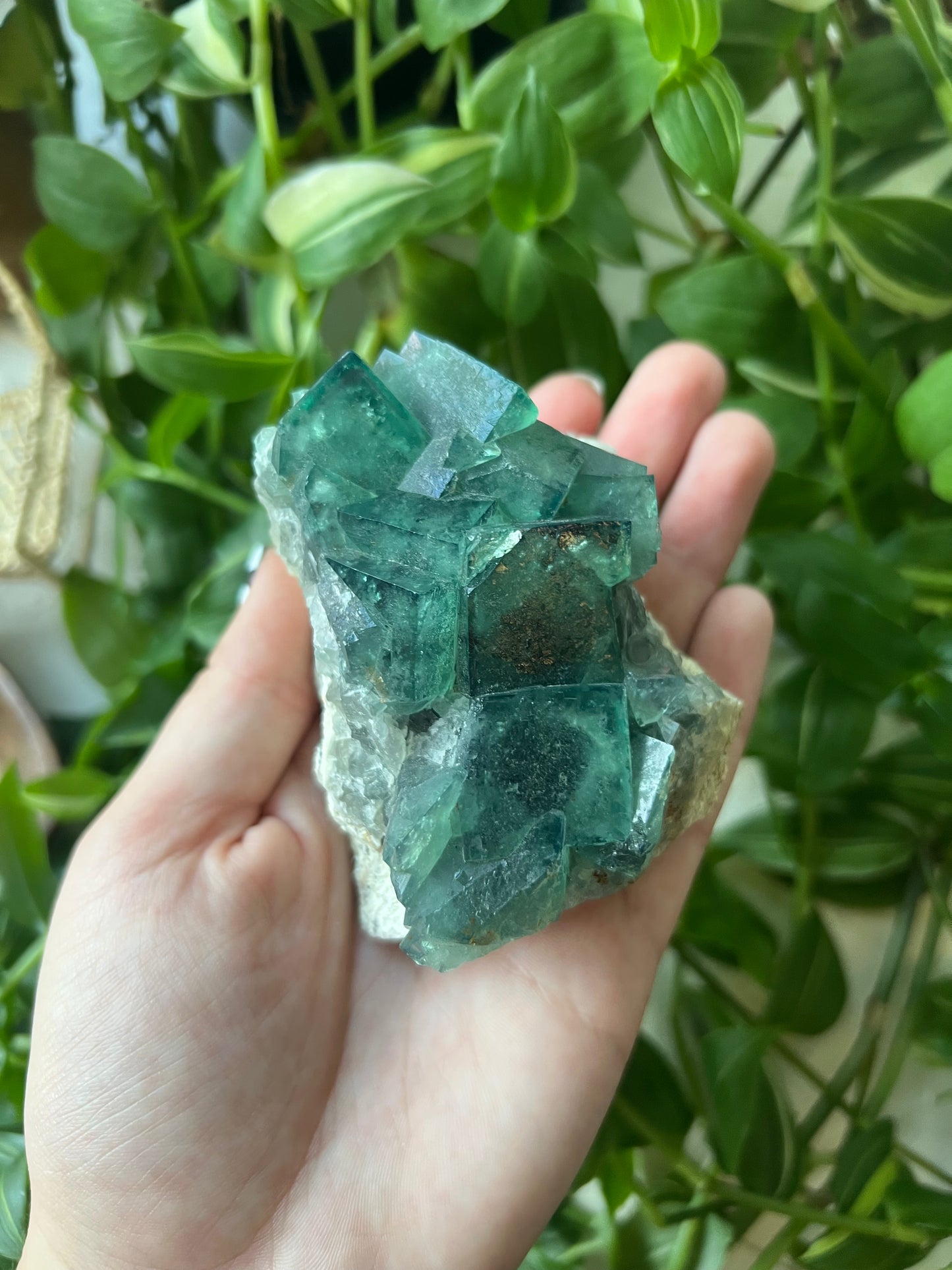 Green Cubic Fluorite
