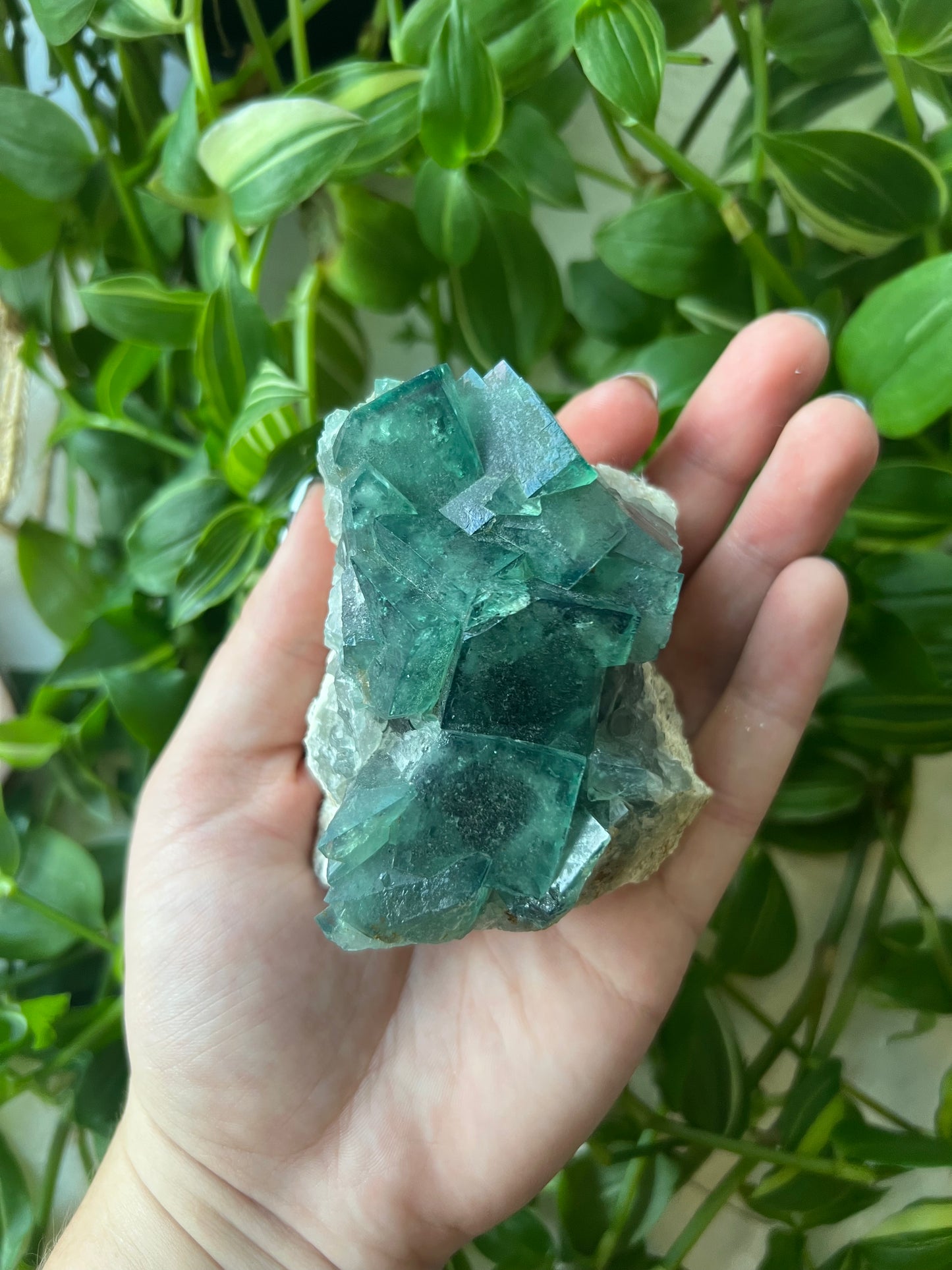 Green Cubic Fluorite