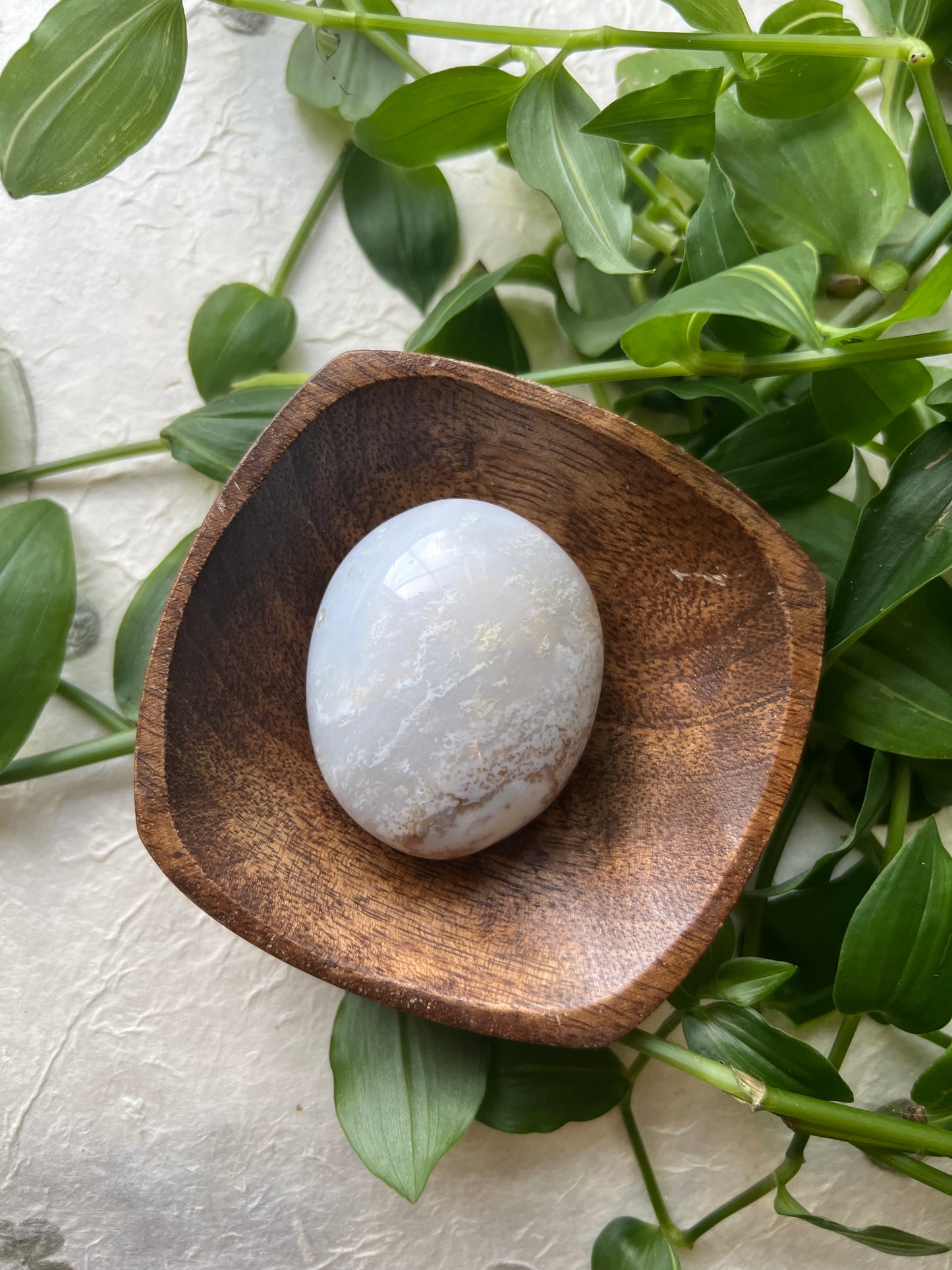 White Ocean Jasper Palm