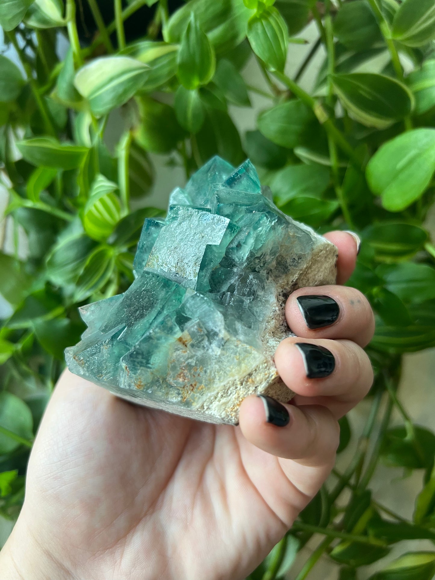 Green Cubic Fluorite