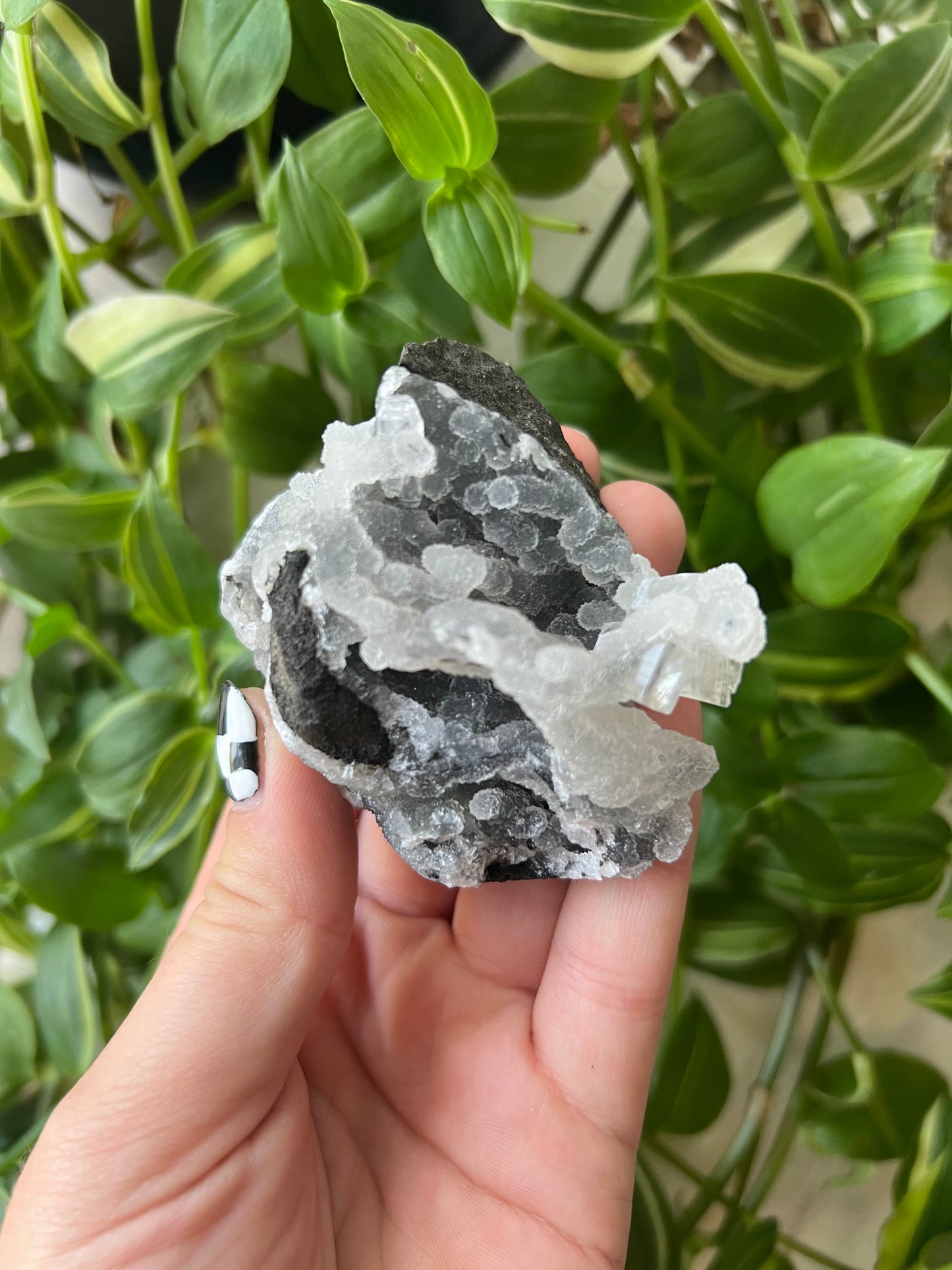 Chalcedony x Apophyllite