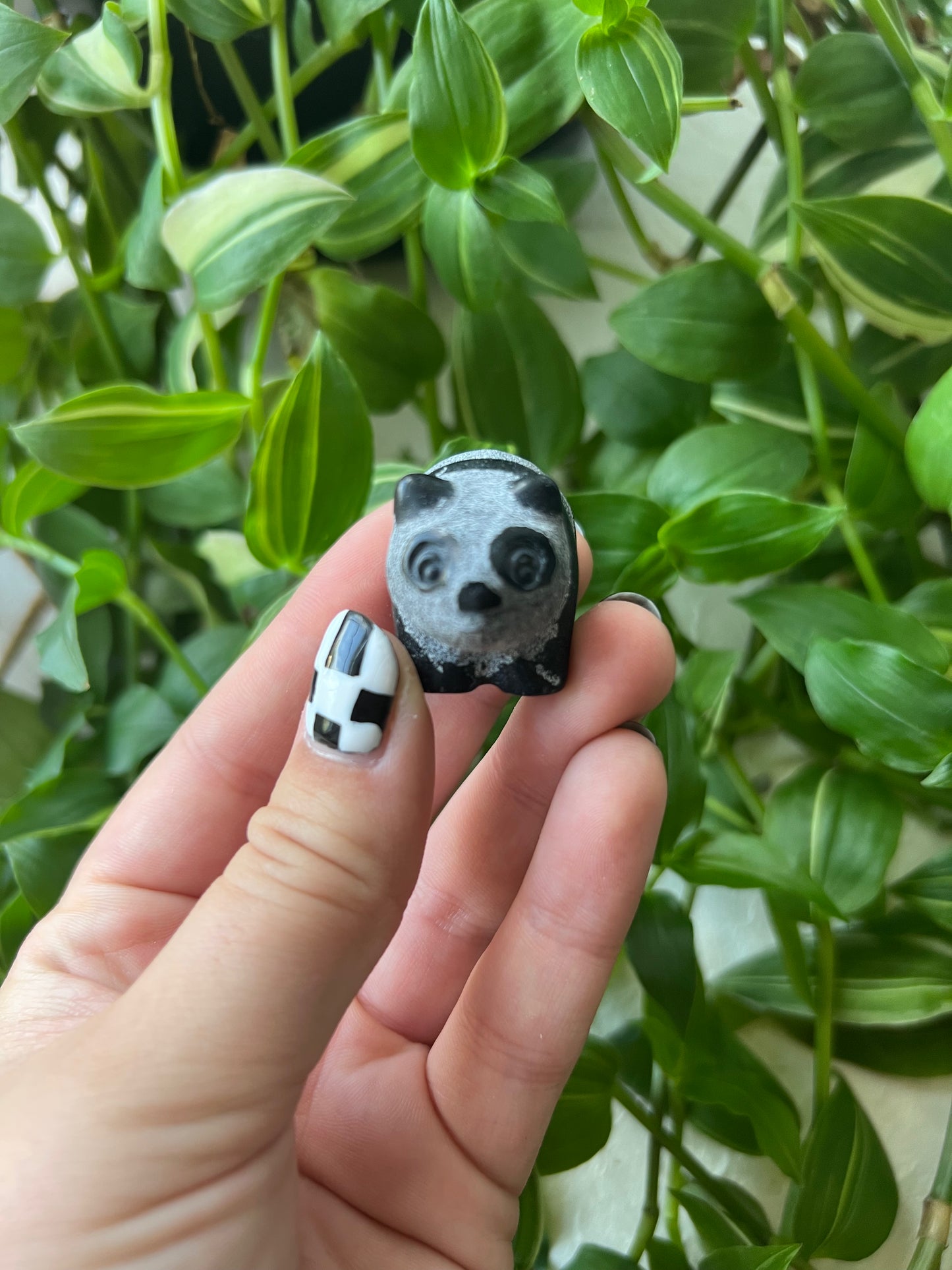Obsidian Panda