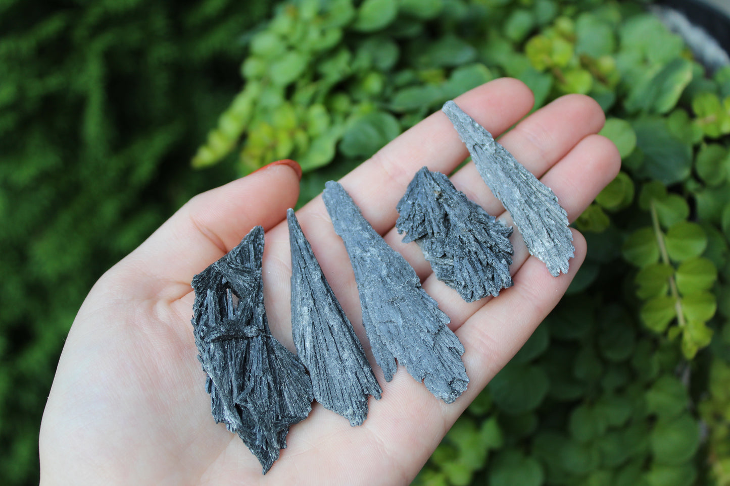 Black Kyanite Raw