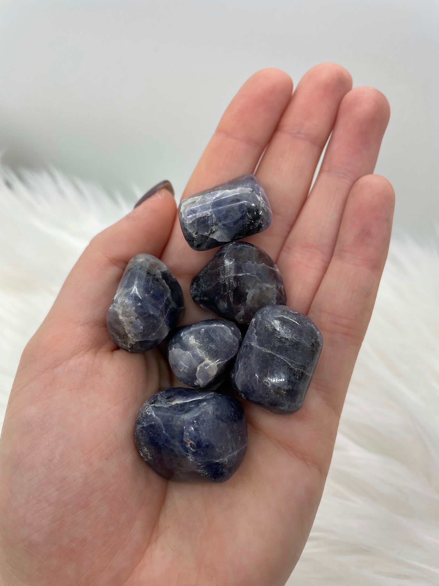Iolite (taille moyenne/grande)