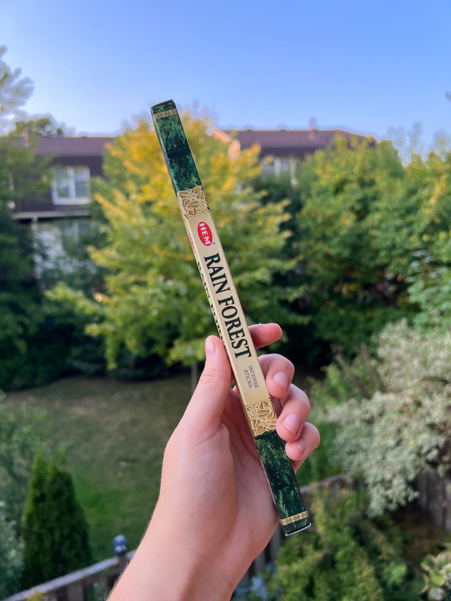Encens forêt tropicale