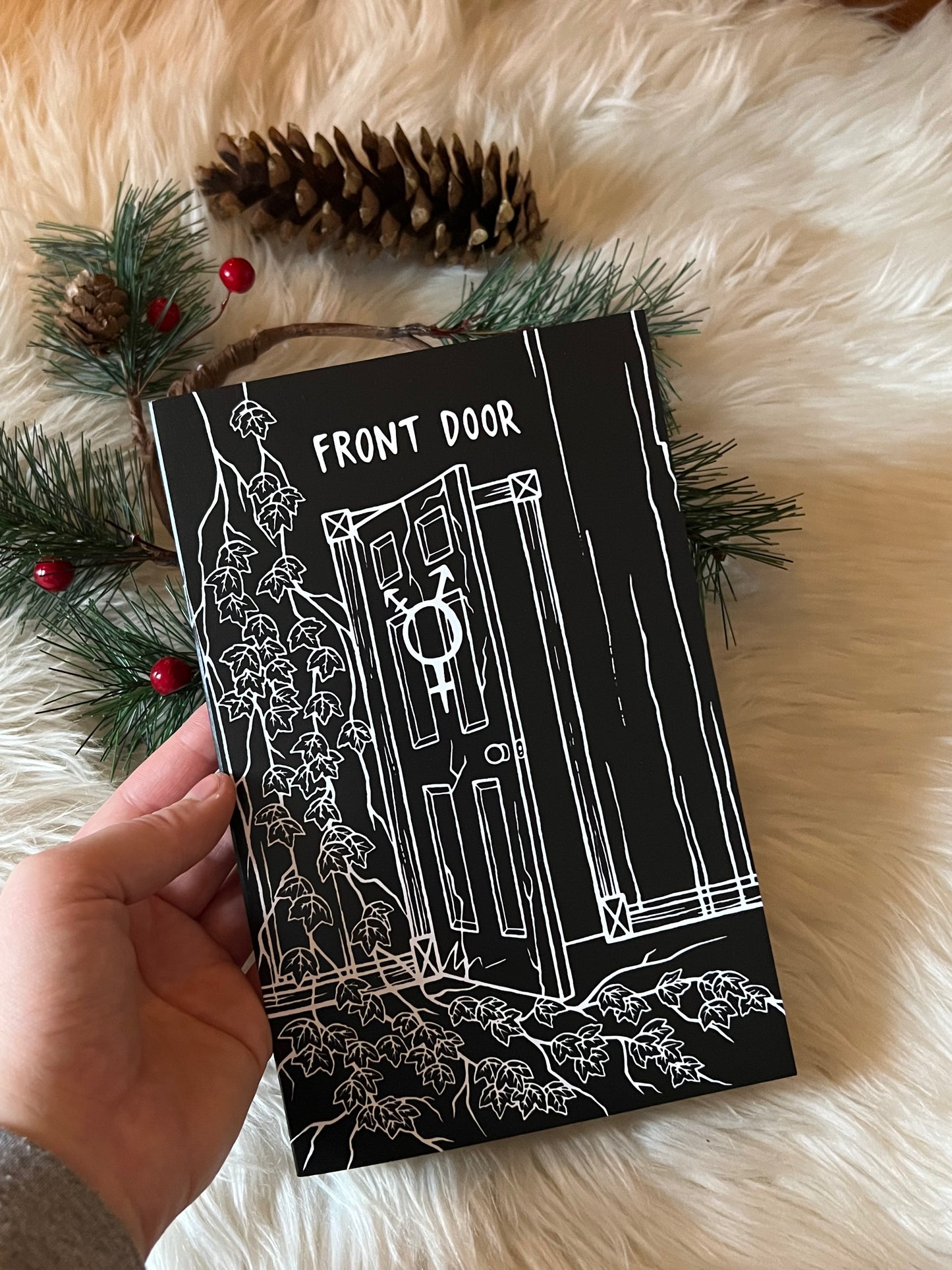 Zine de la porte d’entrée