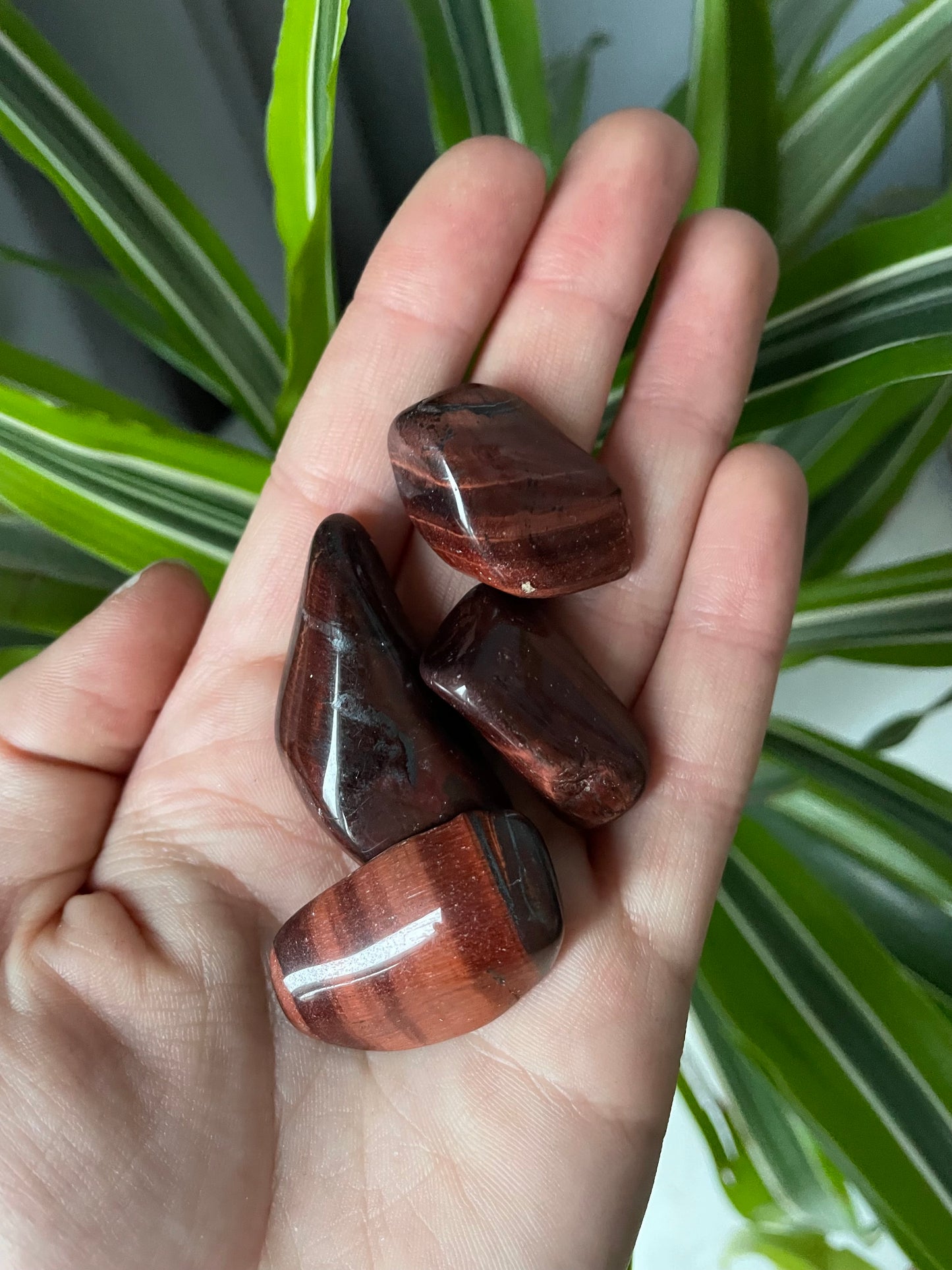 Red Tigers Eye Tumbled