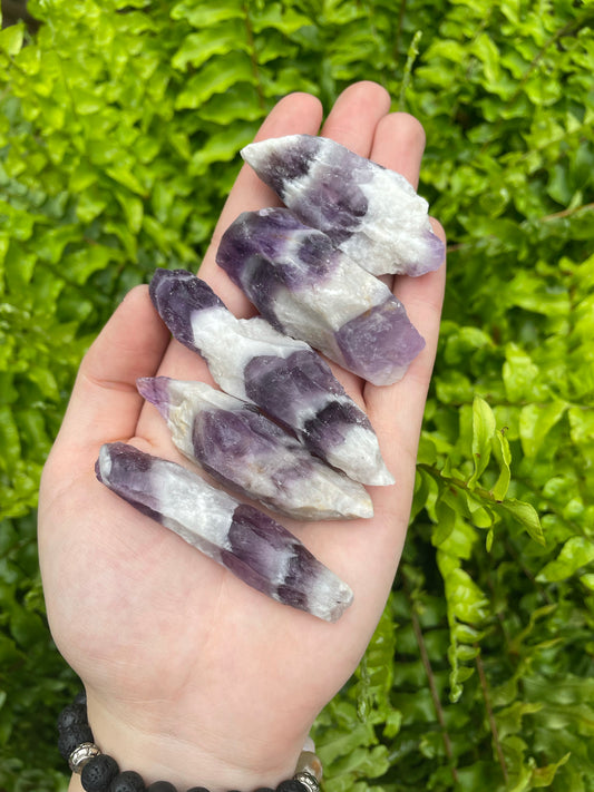 Racine d'améthyste chevron