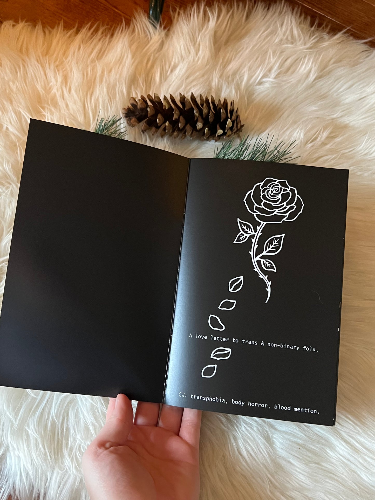 Zine de la porte d’entrée