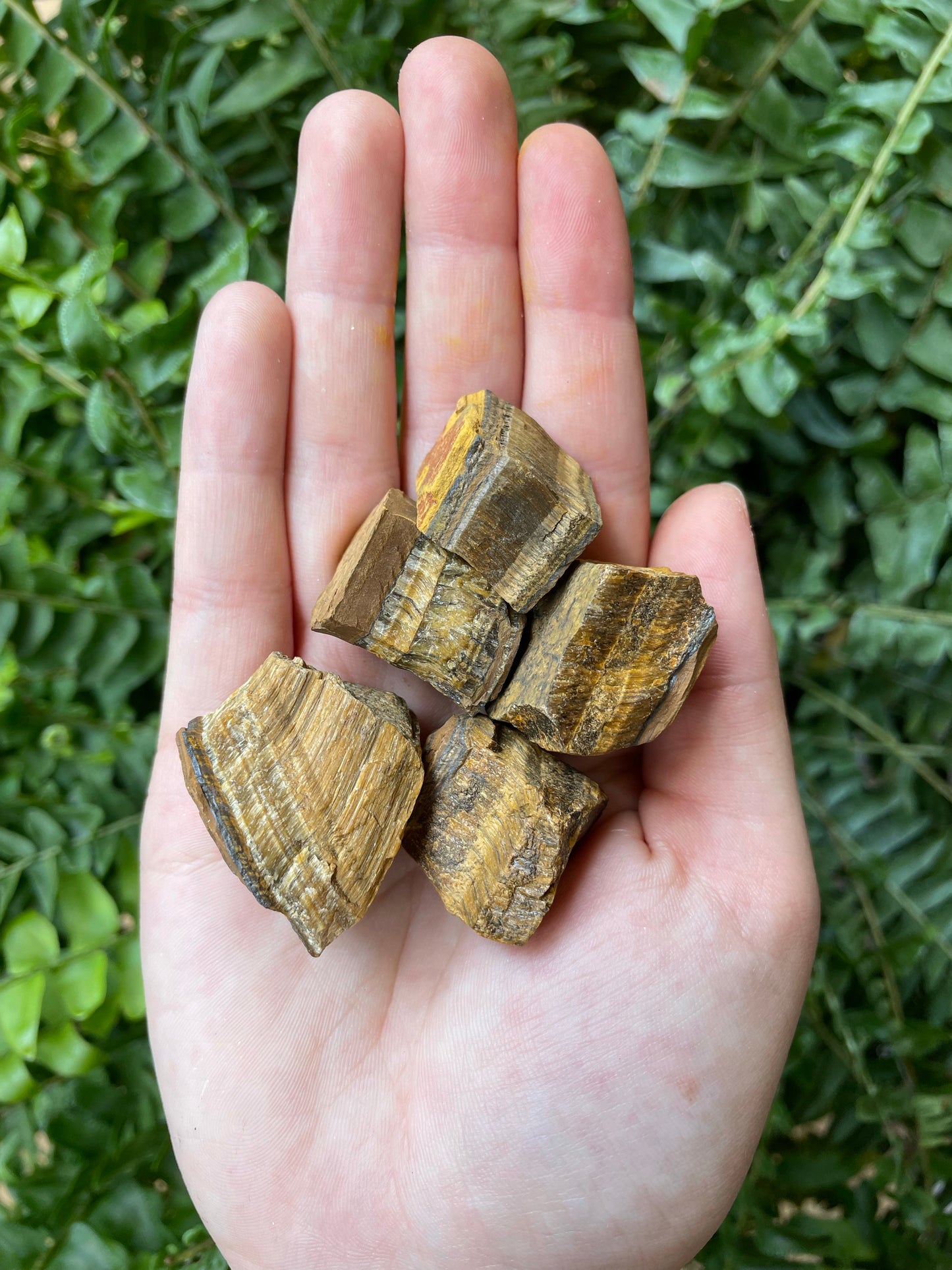 Tigers Eye Raw