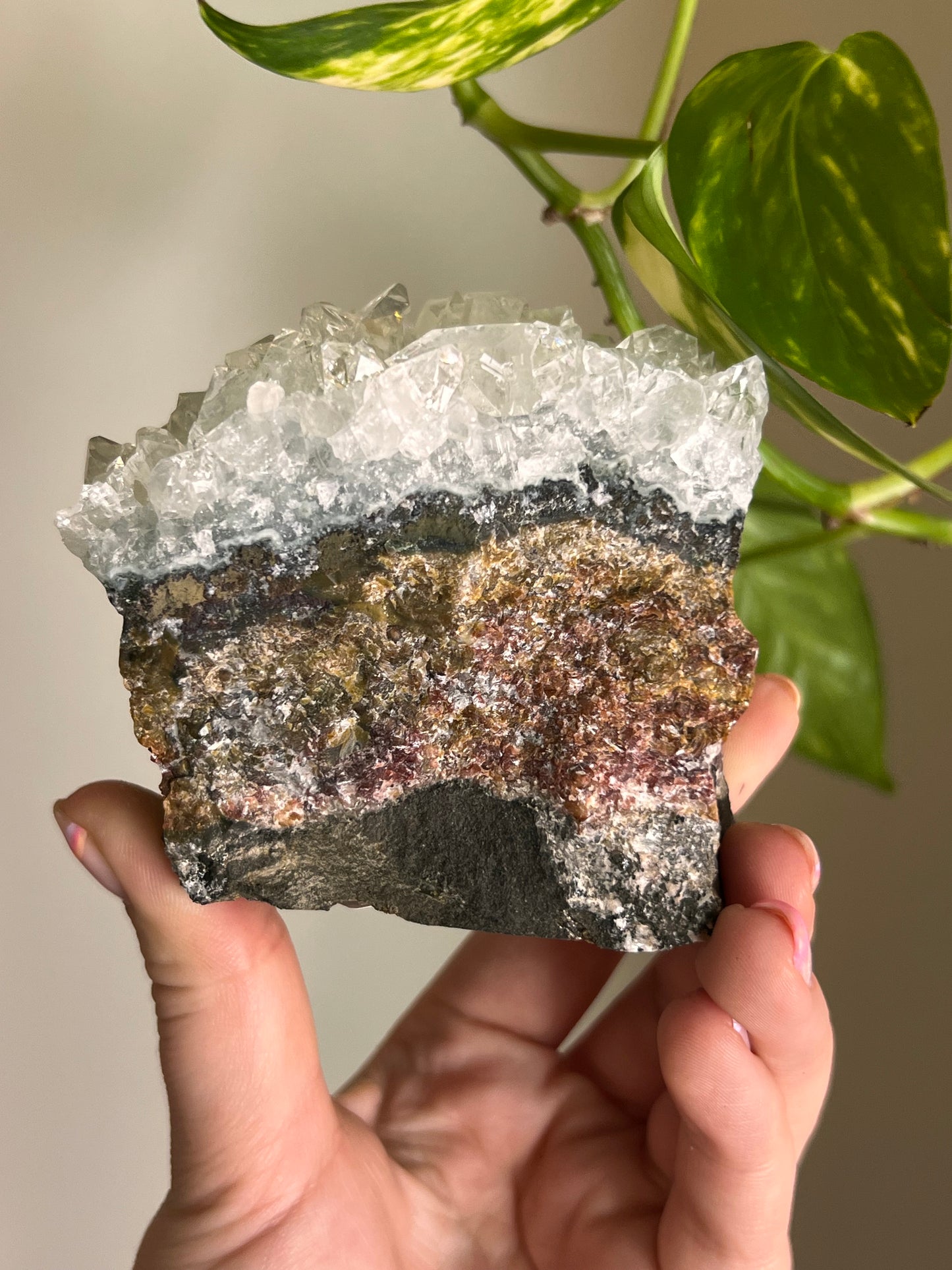 Apophyllite Cluster - I