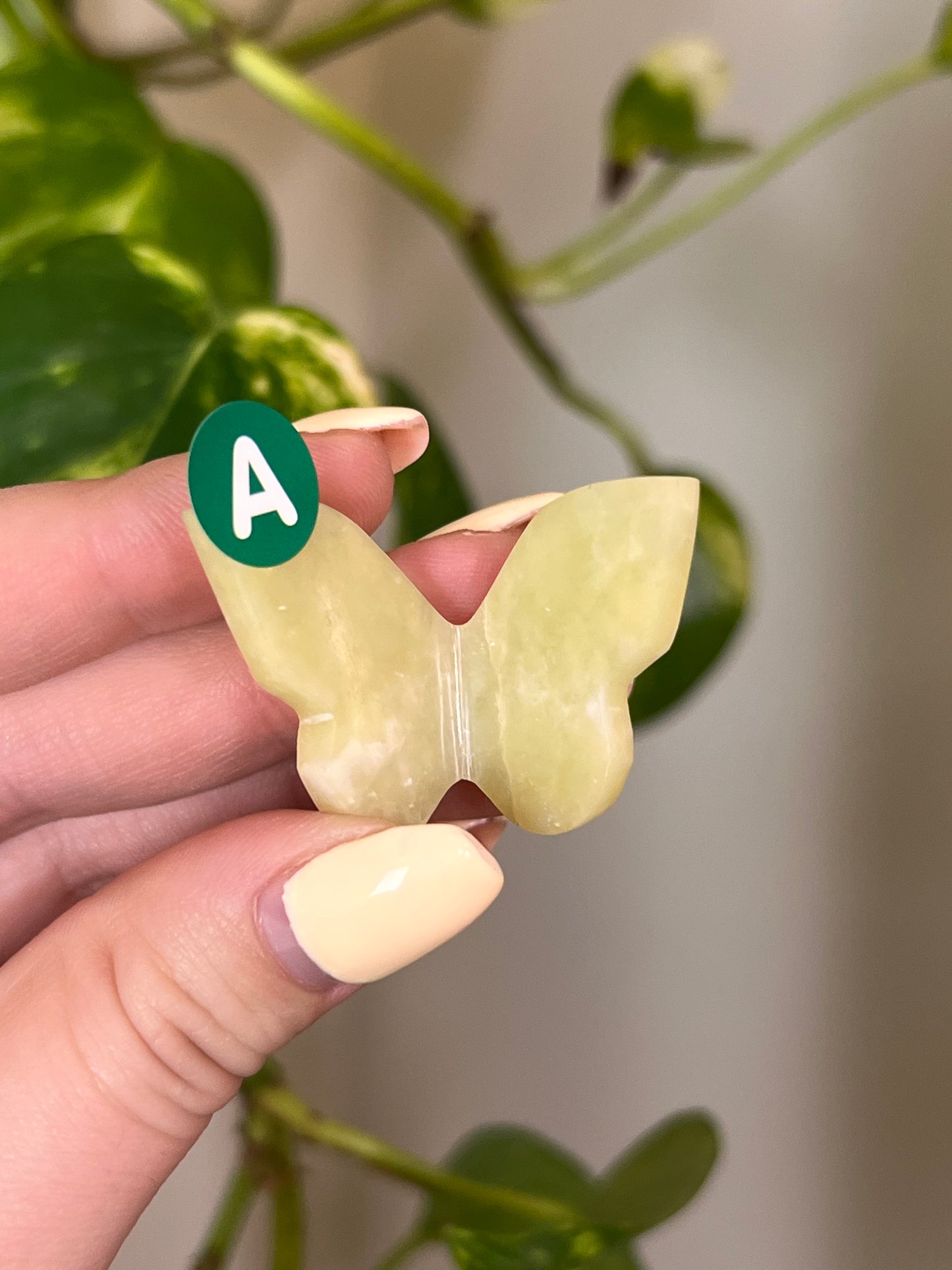 Bowenite Small 3D Butterfly - A
