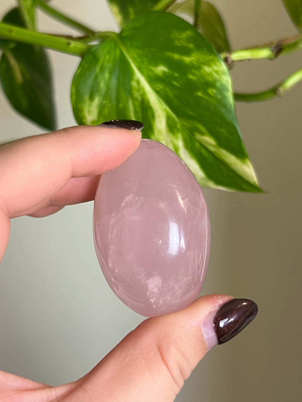Rose Quartz Palm Stone - 🩷