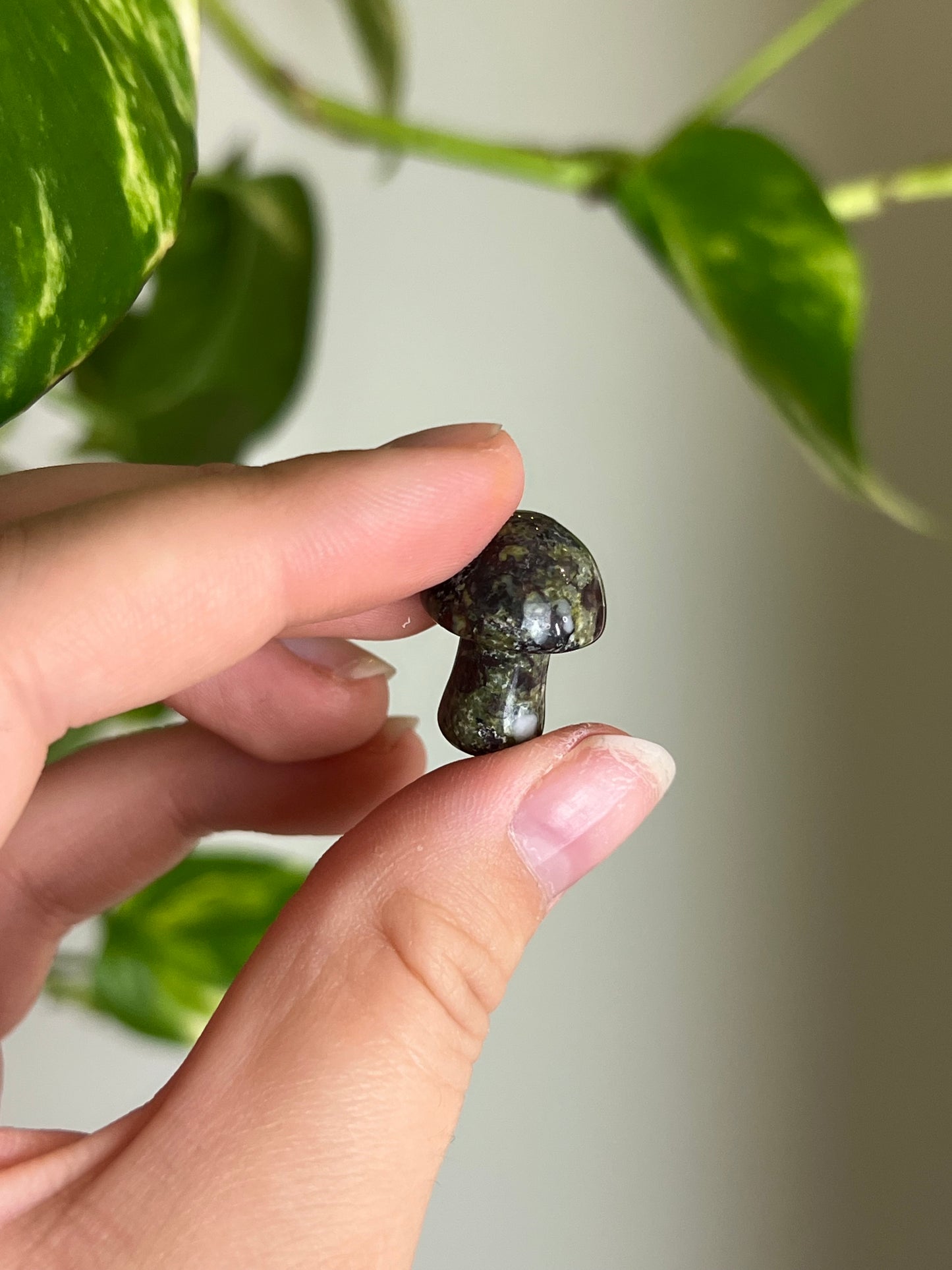 Dragons Blood Jasper Mini Mushie