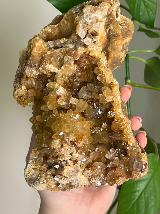 Golden Limonite Quartz Cluster - Massive Statement Piece